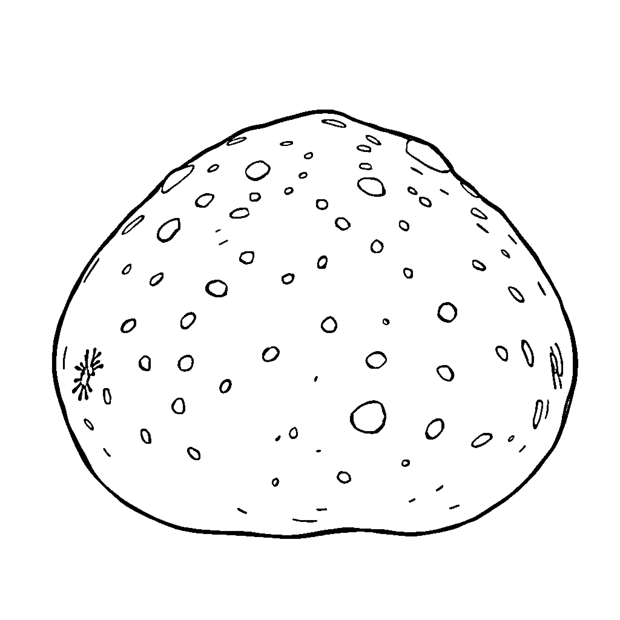 Potato shaped like a moon Coloring Page (free black-and-white line drawing printable PDF for all, from beginners to advanced learners, including children, teens, adults, and seniors)