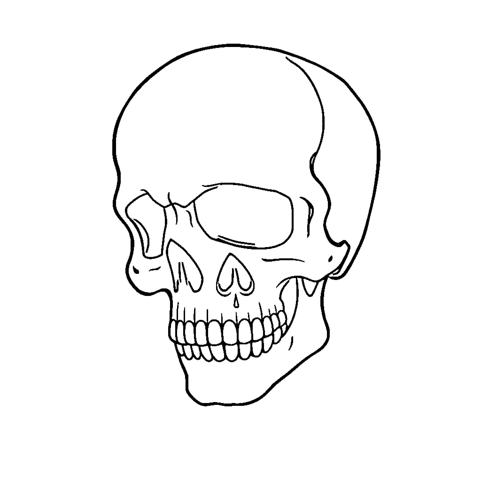 Skull in simple line art outline Coloring Page (free black-and-white line drawing printable PDF for all, from beginners to advanced learners, including children, teens, adults, and seniors)