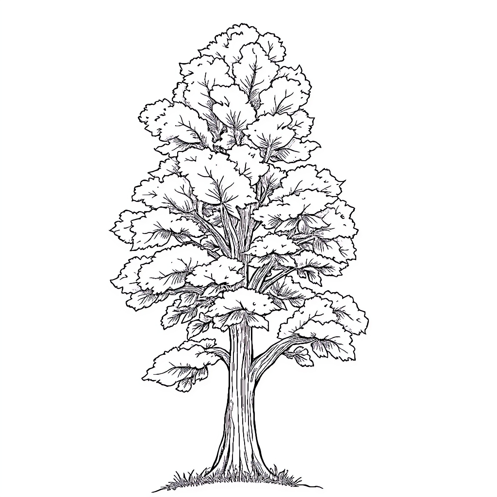 Tree with intricate leaf patterns Coloring Page (free black-and-white line drawing printable PDF for all, from beginners to advanced learners, including children, teens, adults, and seniors)