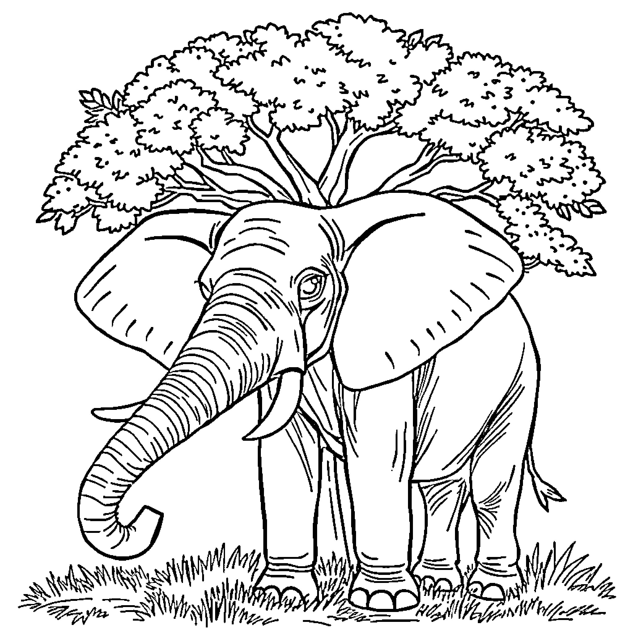 Elephant standing under a lush tree Coloring Page (free black-and-white line drawing printable PDF for all, from beginners to advanced learners, including children, teens, adults, and seniors)