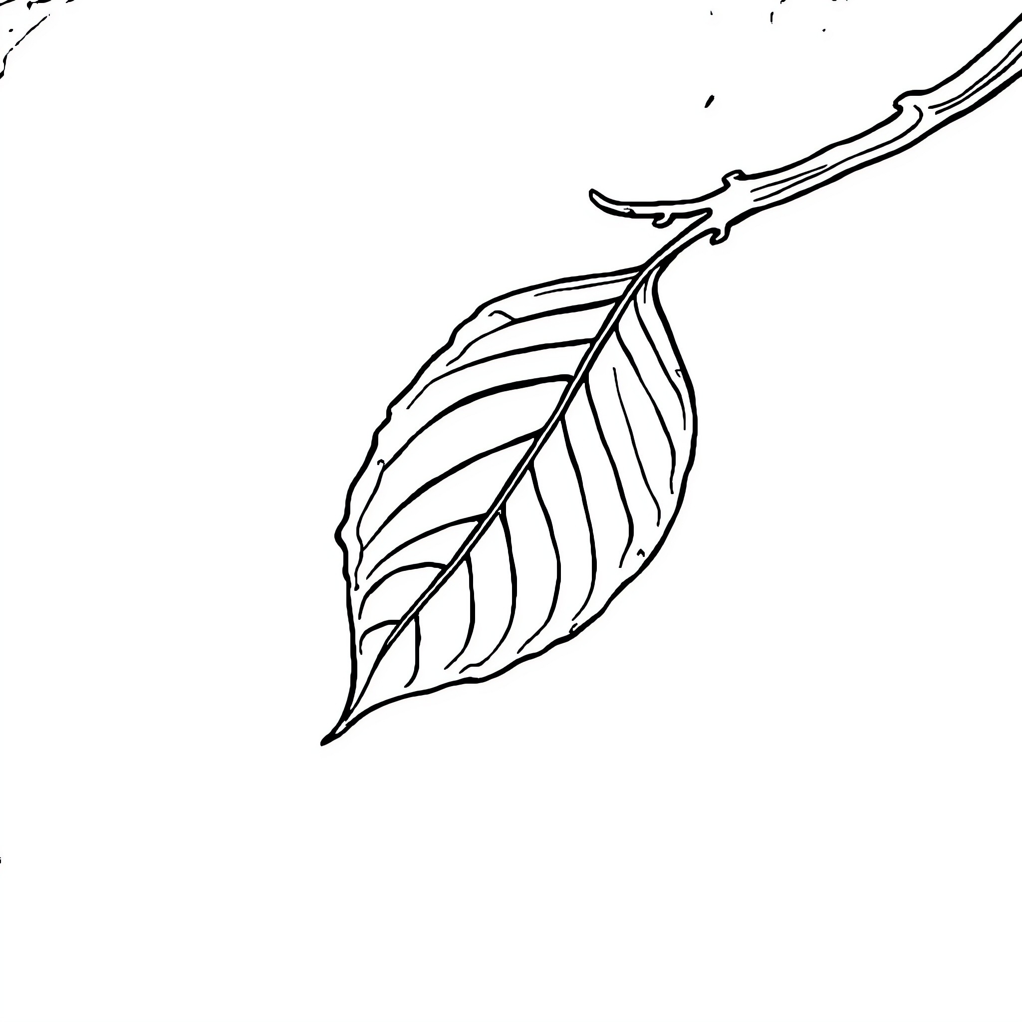 Leaf swaying gently in the breeze Coloring Page (free black-and-white line drawing printable PDF for all, from beginners to advanced learners, including children, teens, adults, and seniors)