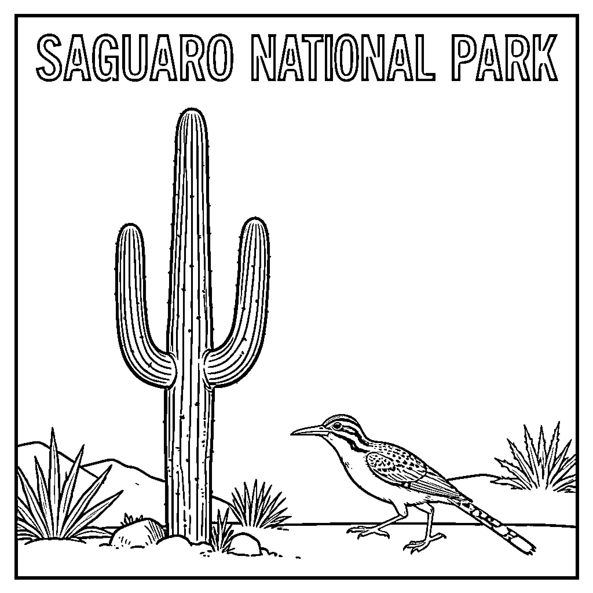 Saguaro National Park with cactus and roadrunner Coloring Page (free black-and-white line drawing printable PDF for all, from beginners to advanced learners, including children, teens, adults, and seniors)