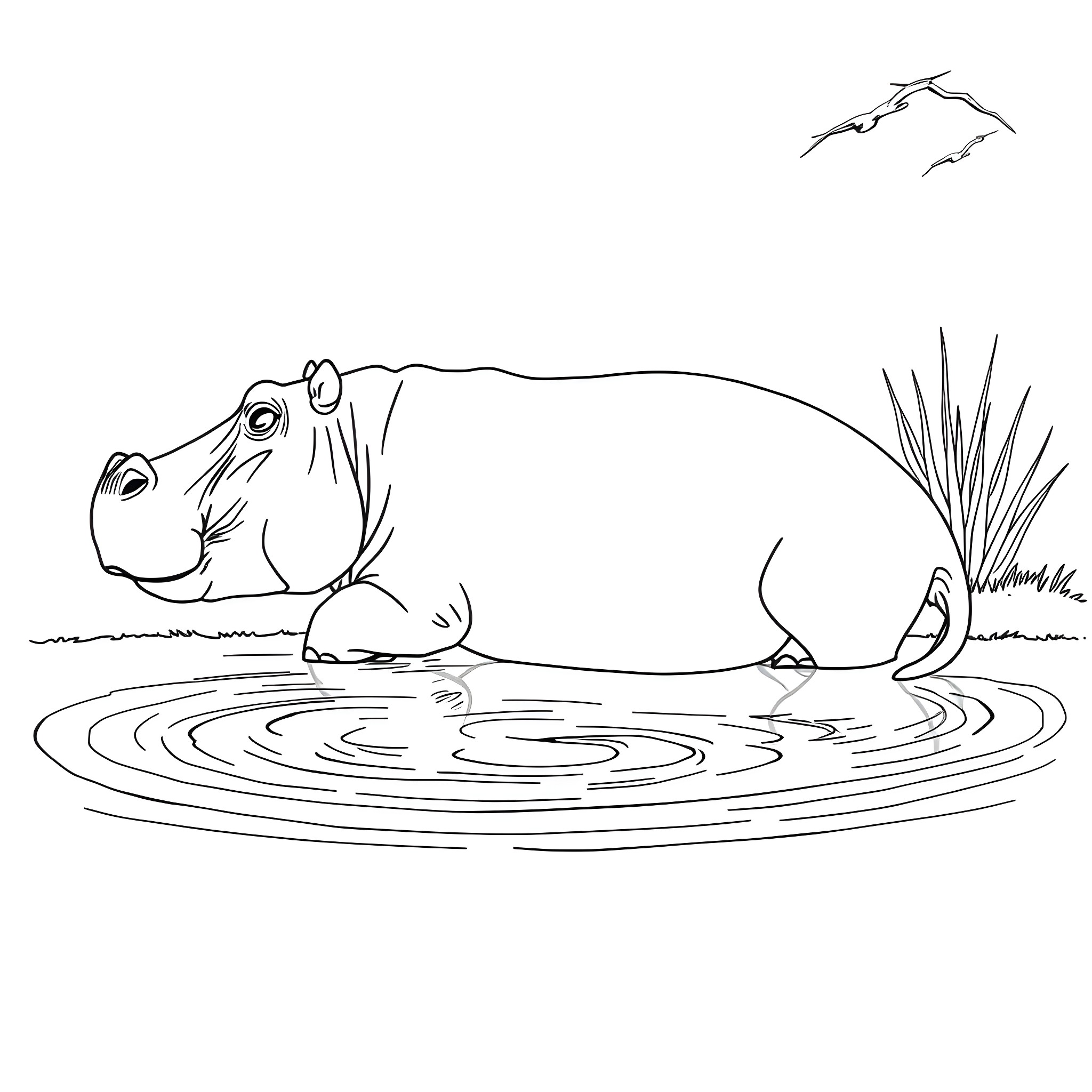 Hippopotamus relaxing in the water Coloring Page (free black-and-white line drawing printable PDF for all, from beginners to advanced learners, including children, teens, adults, and seniors)