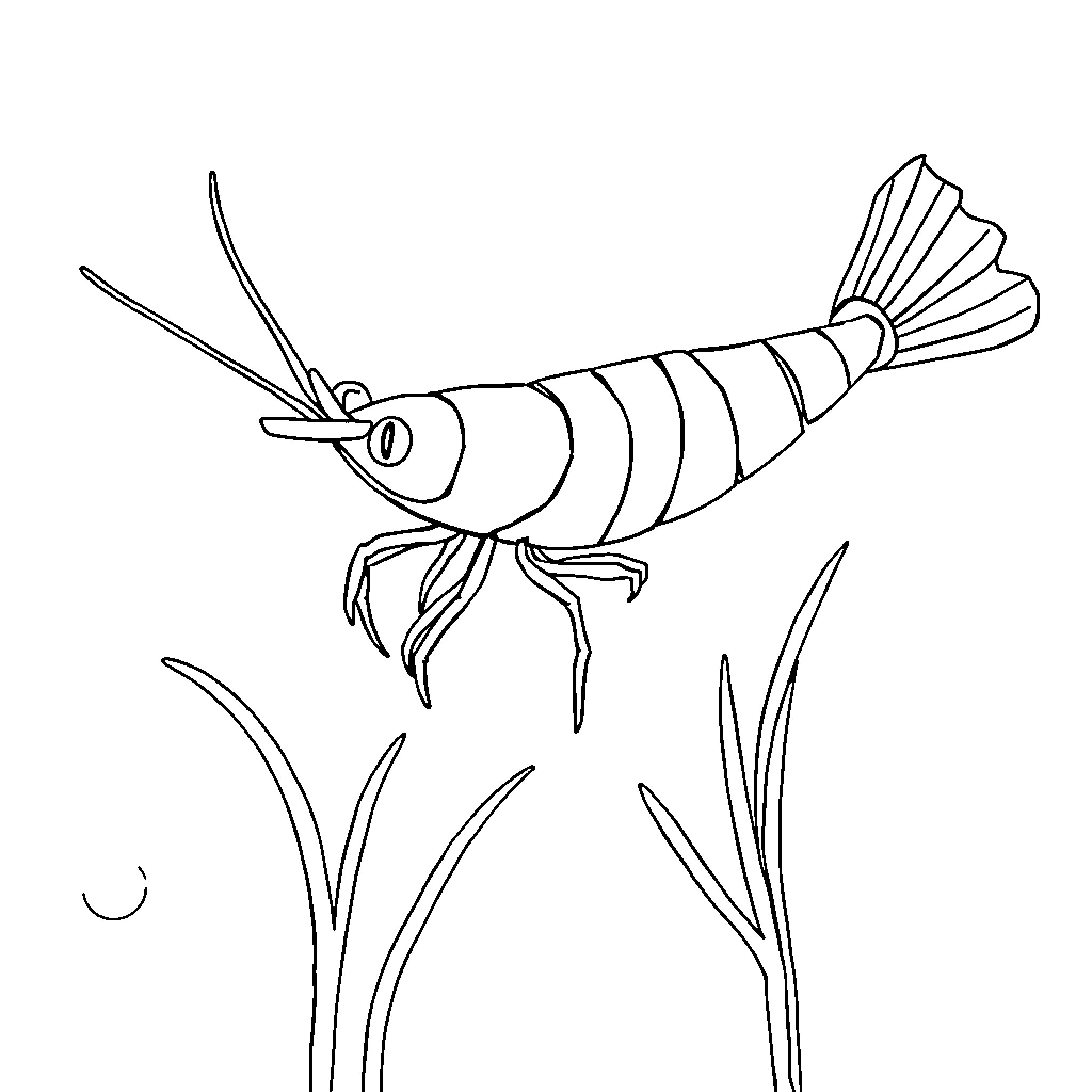 Shrimp swimming amidst aquatic plants Coloring Page (free black-and-white line drawing printable PDF for all, from beginners to advanced learners, including children, teens, adults, and seniors)