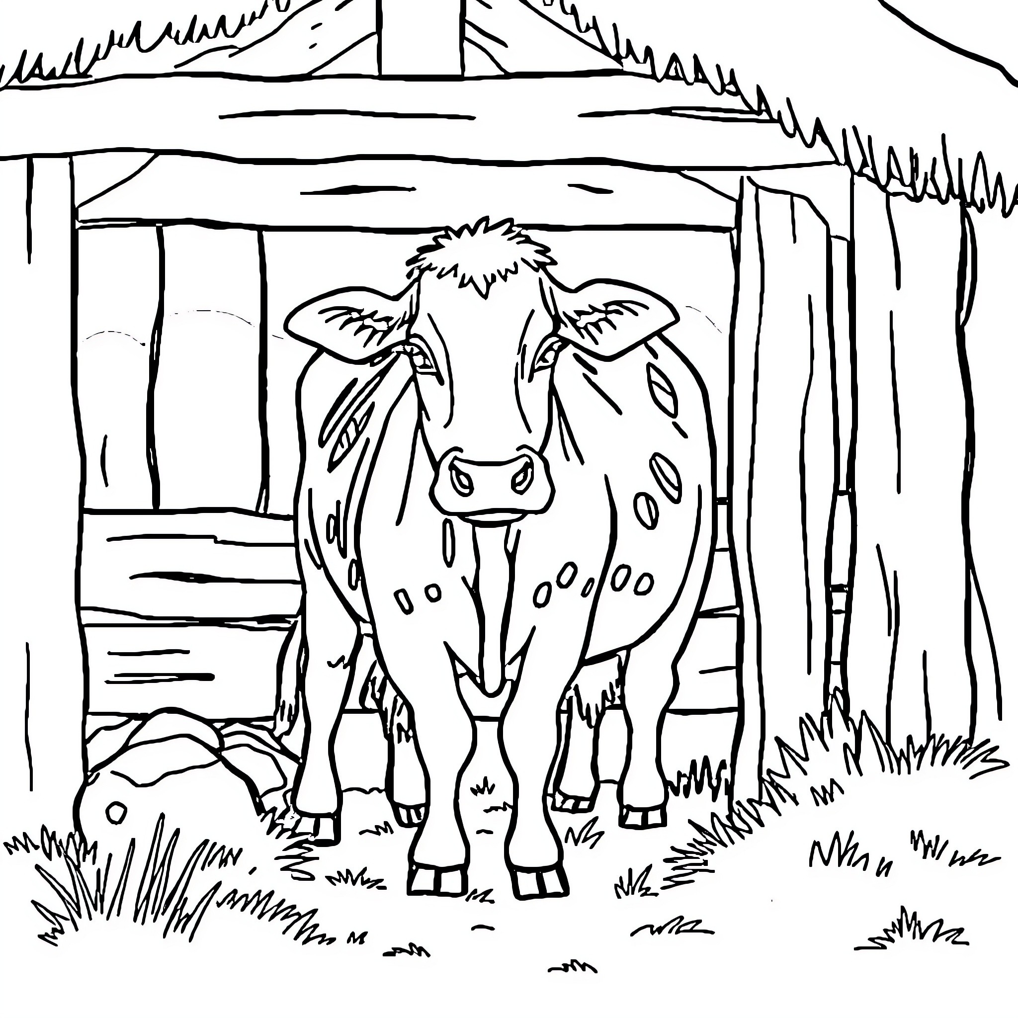 Cow standing in a barn doorway Coloring Page (free black-and-white line drawing printable PDF for all, from beginners to advanced learners, including children, teens, adults, and seniors)