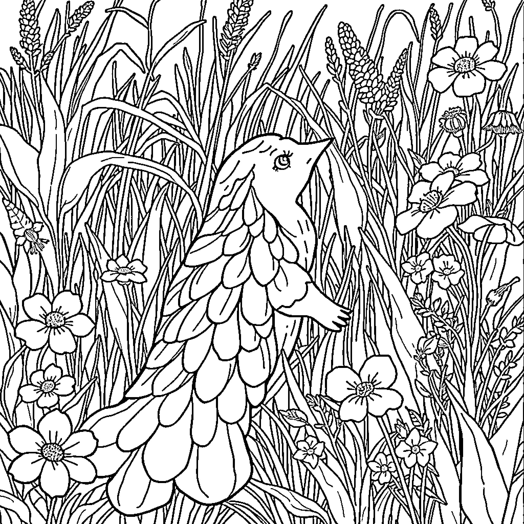 Raiponce in a whimsical floral garden Coloring Page (free black-and-white line drawing printable PDF for all, from beginners to advanced learners, including children, teens, adults, and seniors)