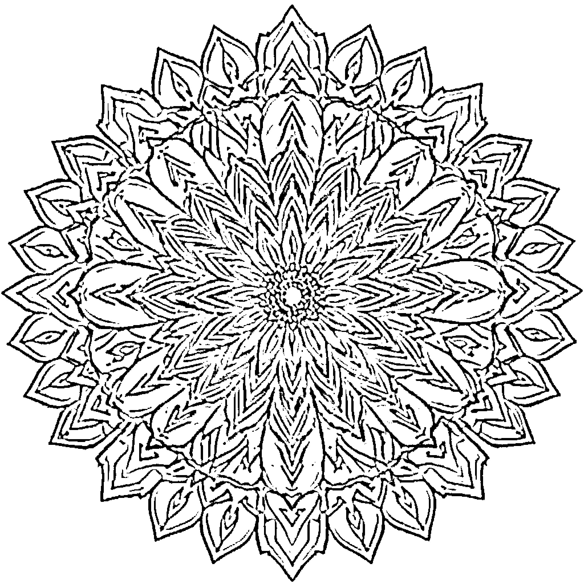 Mandala of intricate floral patterns Coloring Page (free black-and-white line drawing printable PDF for all, from beginners to advanced learners, including children, teens, adults, and seniors)