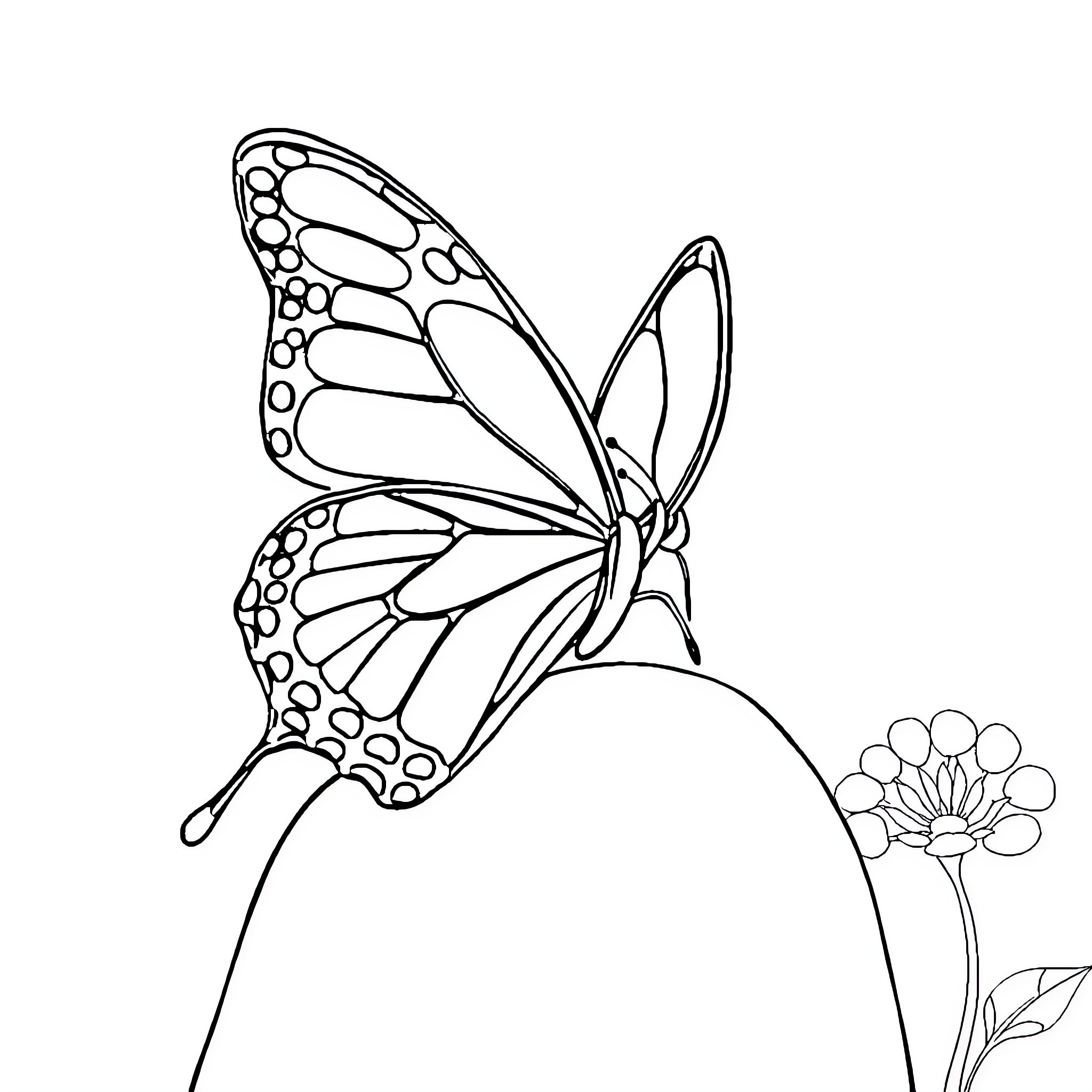 Butterfly delicately perching on flower stem Coloring Page (free black-and-white line drawing printable PDF for all, from beginners to advanced learners, including children, teens, adults, and seniors)