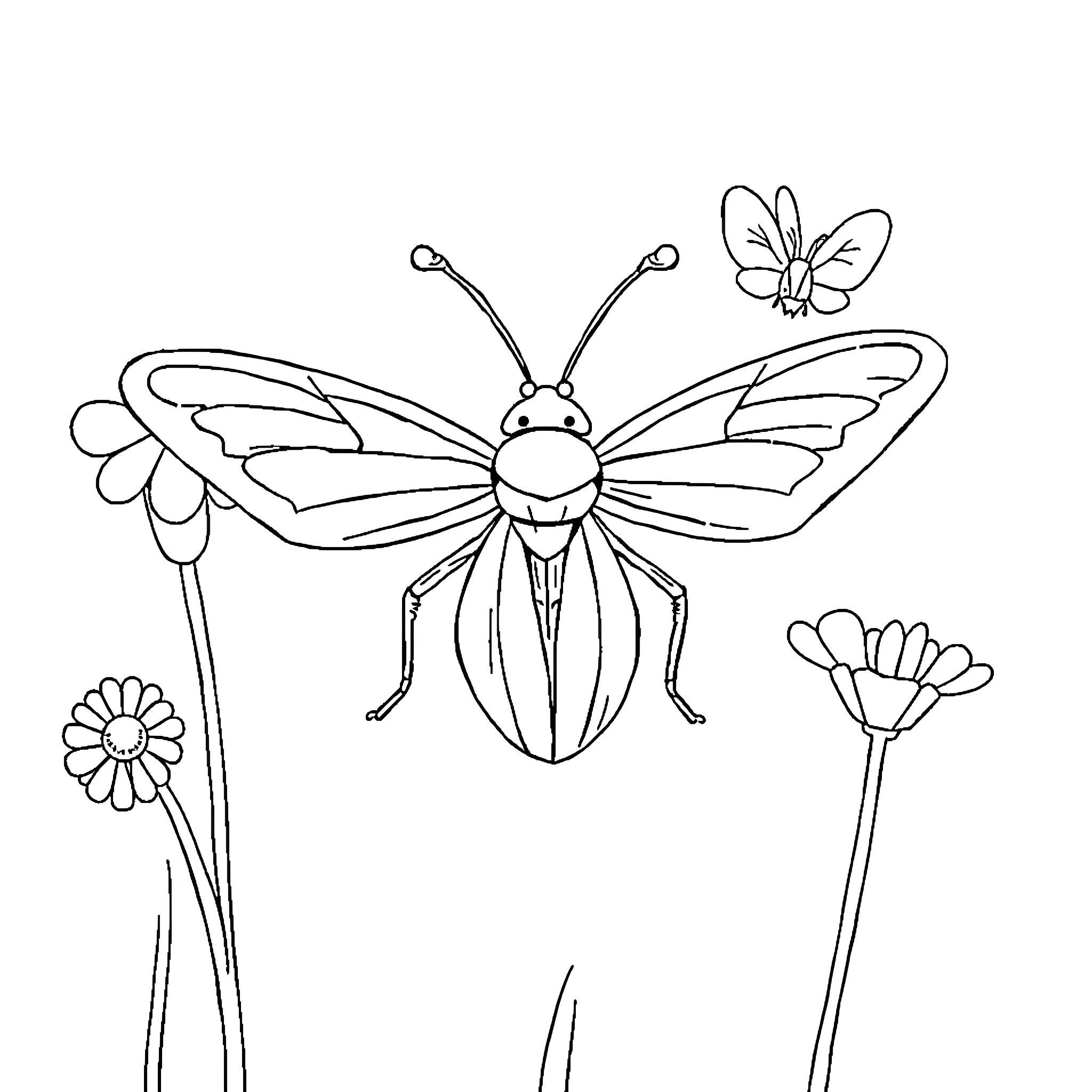 Insect exploring the flowery meadow Coloring Page (free black-and-white line drawing printable PDF for all, from beginners to advanced learners, including children, teens, adults, and seniors)