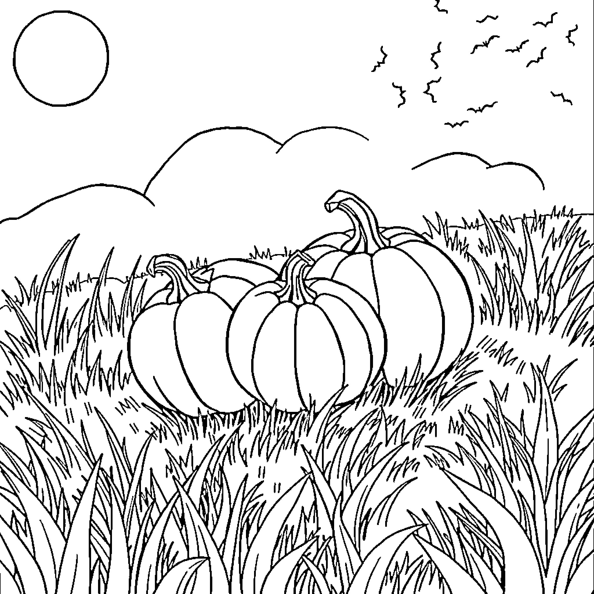 Pumpkins in the Autumn Field Coloring Page (free black-and-white line drawing printable PDF for all, from beginners to advanced learners, including children, teens, adults, and seniors)