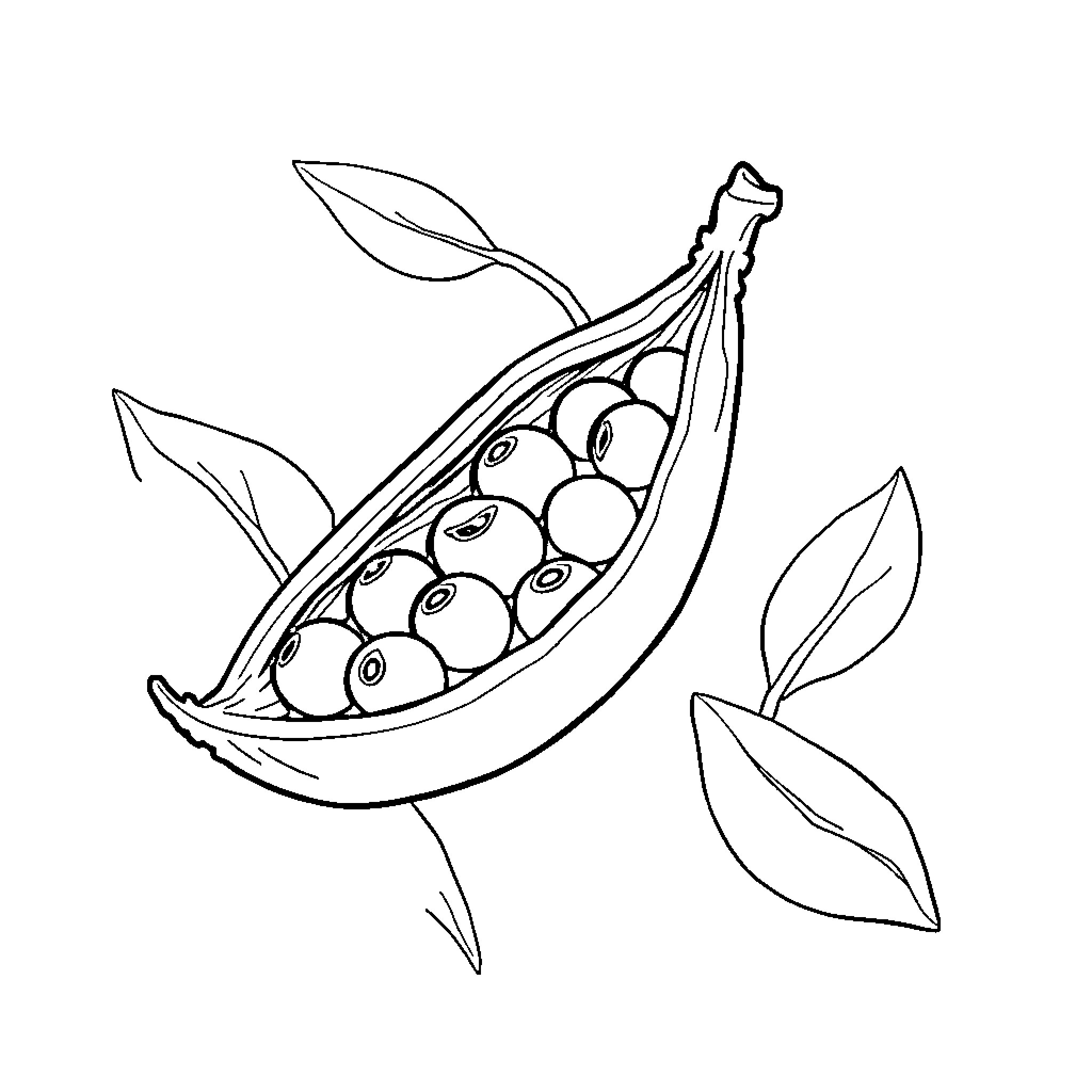Legume pod with vibrant peas Coloring Page (free black-and-white line drawing printable PDF for all, from beginners to advanced learners, including children, teens, adults, and seniors)