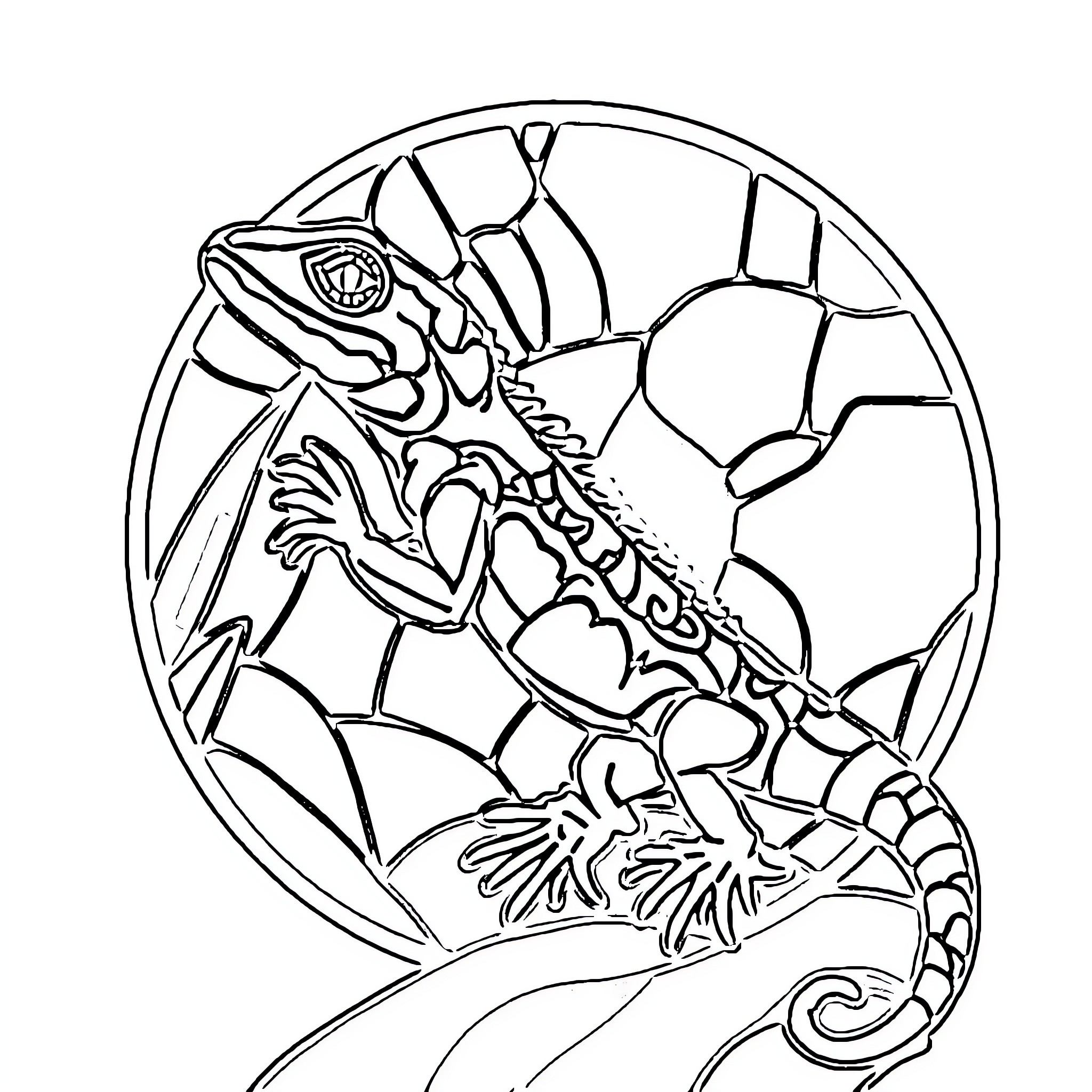 Anole Lizard Climbing on Cracked Surface Coloring Page (free black-and-white line drawing printable PDF for all, from beginners to advanced learners, including children, teens, adults, and seniors)