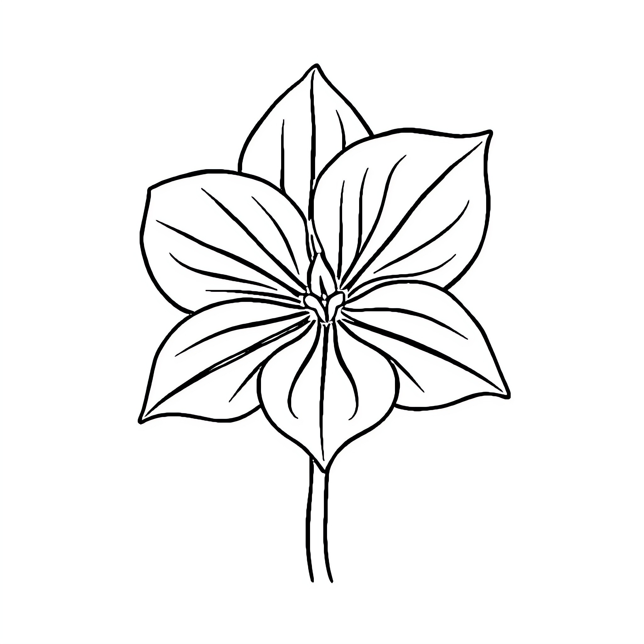 Trillium flower in elegant botanical drawing Coloring Page (free black-and-white line drawing printable PDF for all, from beginners to advanced learners, including children, teens, adults, and seniors)