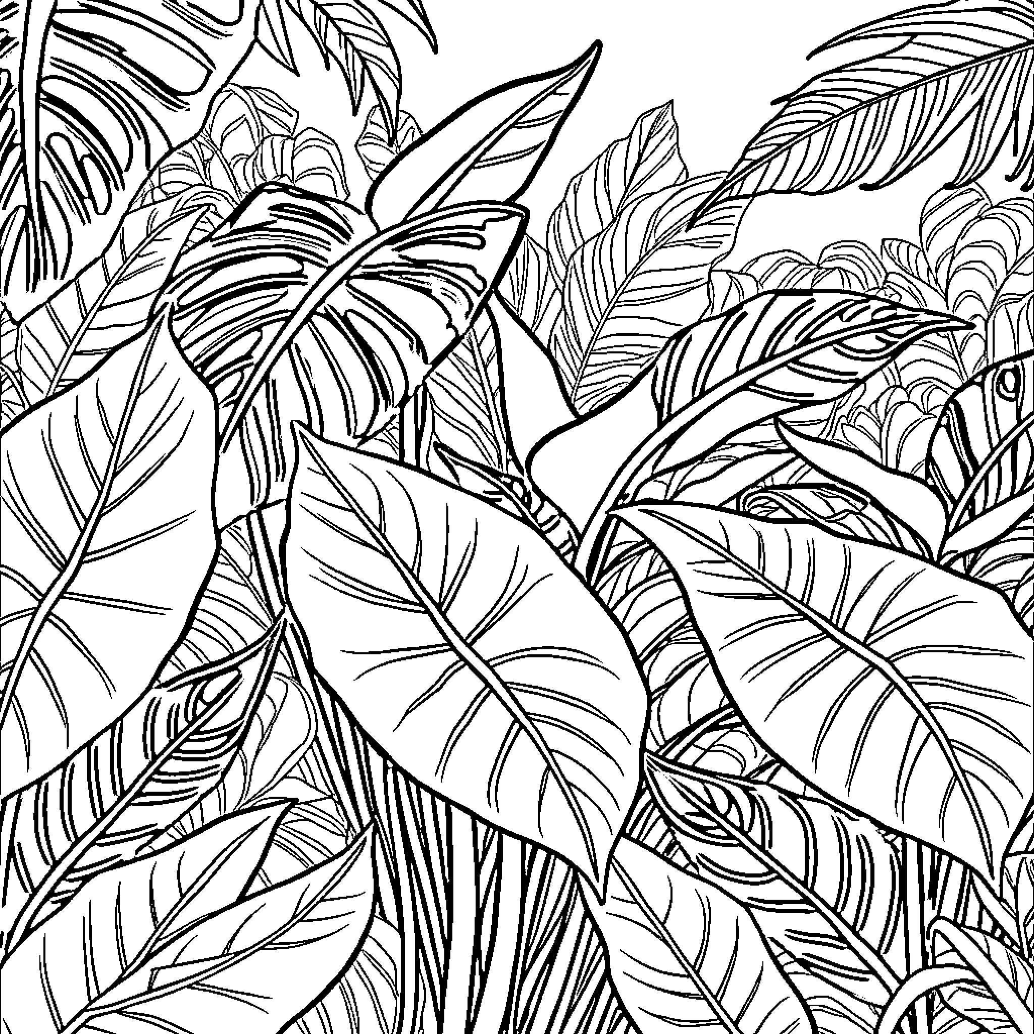 Monstera leaves in a lush tropical jungle Coloring Page (free black-and-white line drawing printable PDF for all, from beginners to advanced learners, including children, teens, adults, and seniors)