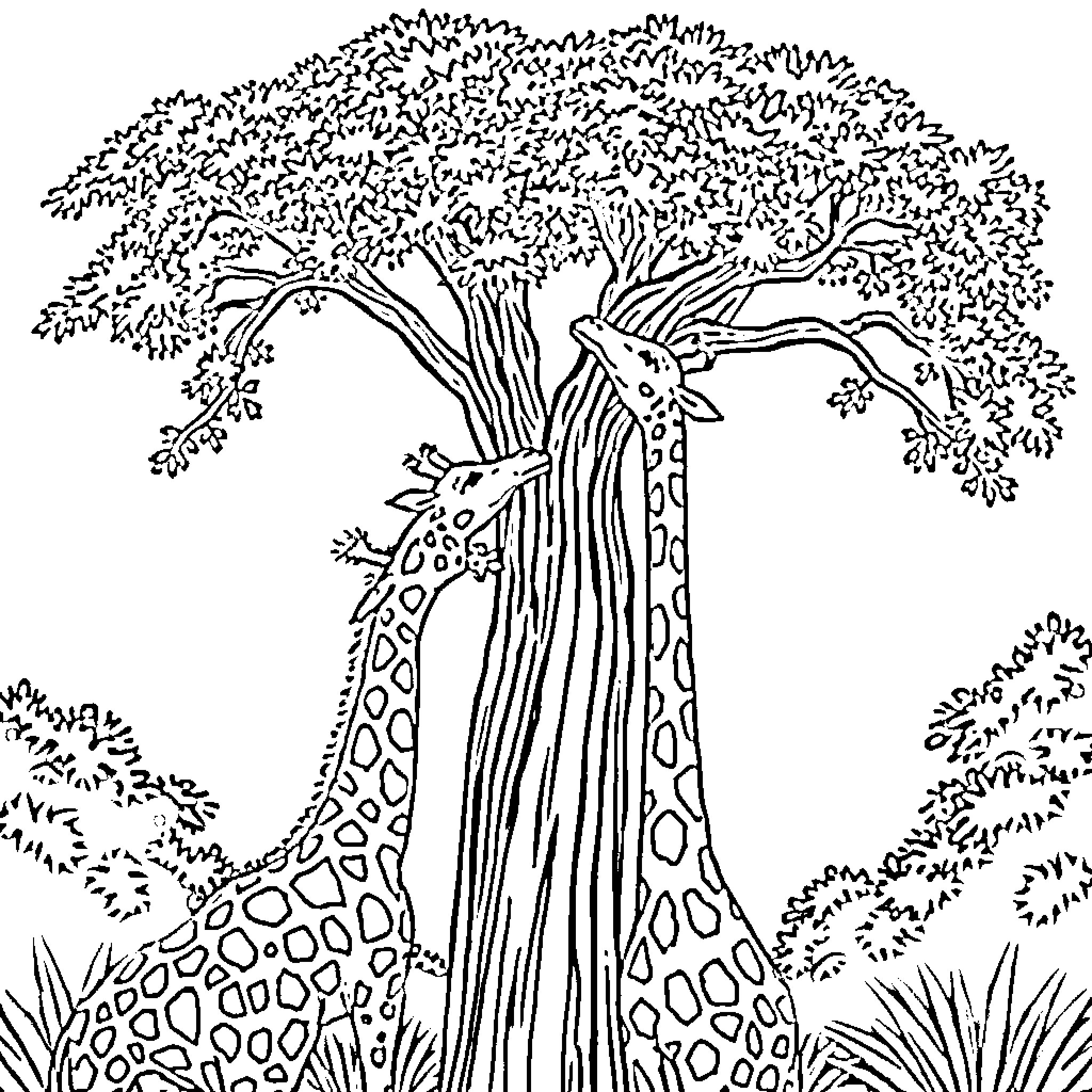 Giraffe peeking through lush foliage Coloring Page (free black-and-white line drawing printable PDF for all, from beginners to advanced learners, including children, teens, adults, and seniors)