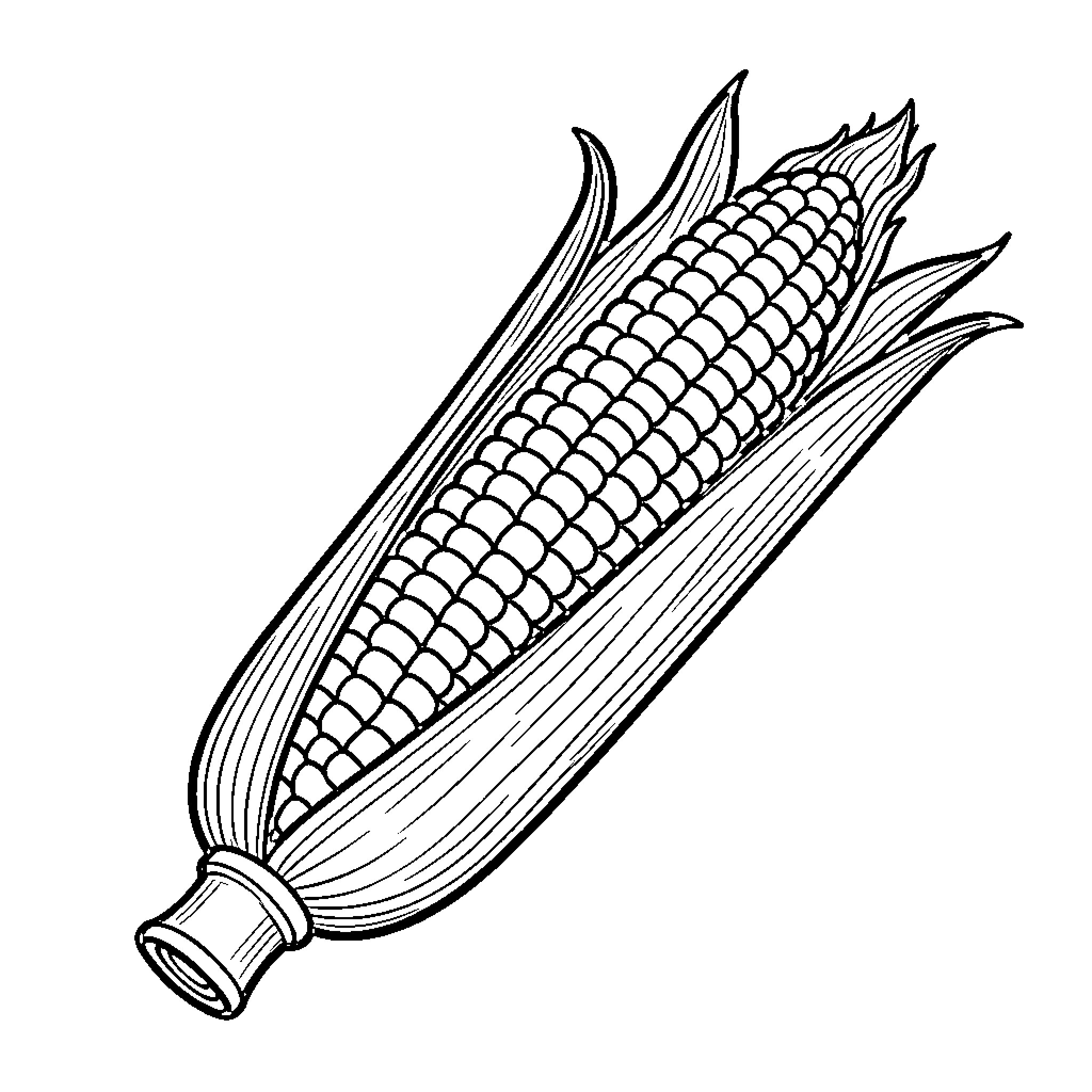 Corn partially shucked revealing many kernels Coloring Page (free black-and-white line drawing printable PDF for all, from beginners to advanced learners, including children, teens, adults, and seniors)