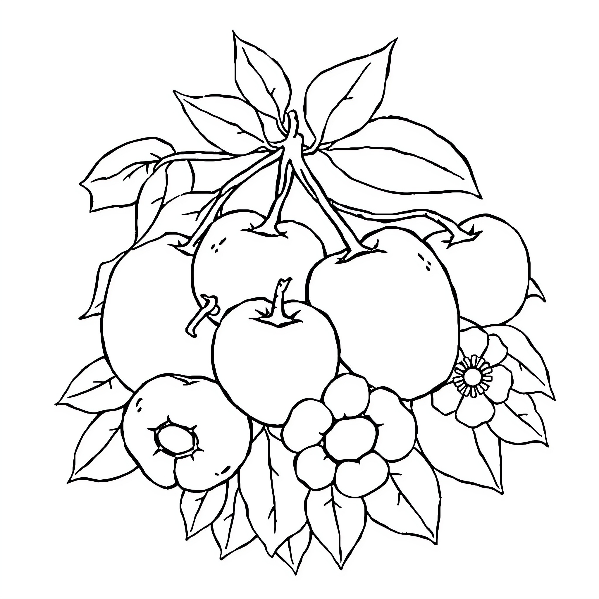 Fruit arrangement with leaves and flowers Coloring Page (free black-and-white line drawing printable PDF for all, from beginners to advanced learners, including children, teens, adults, and seniors)