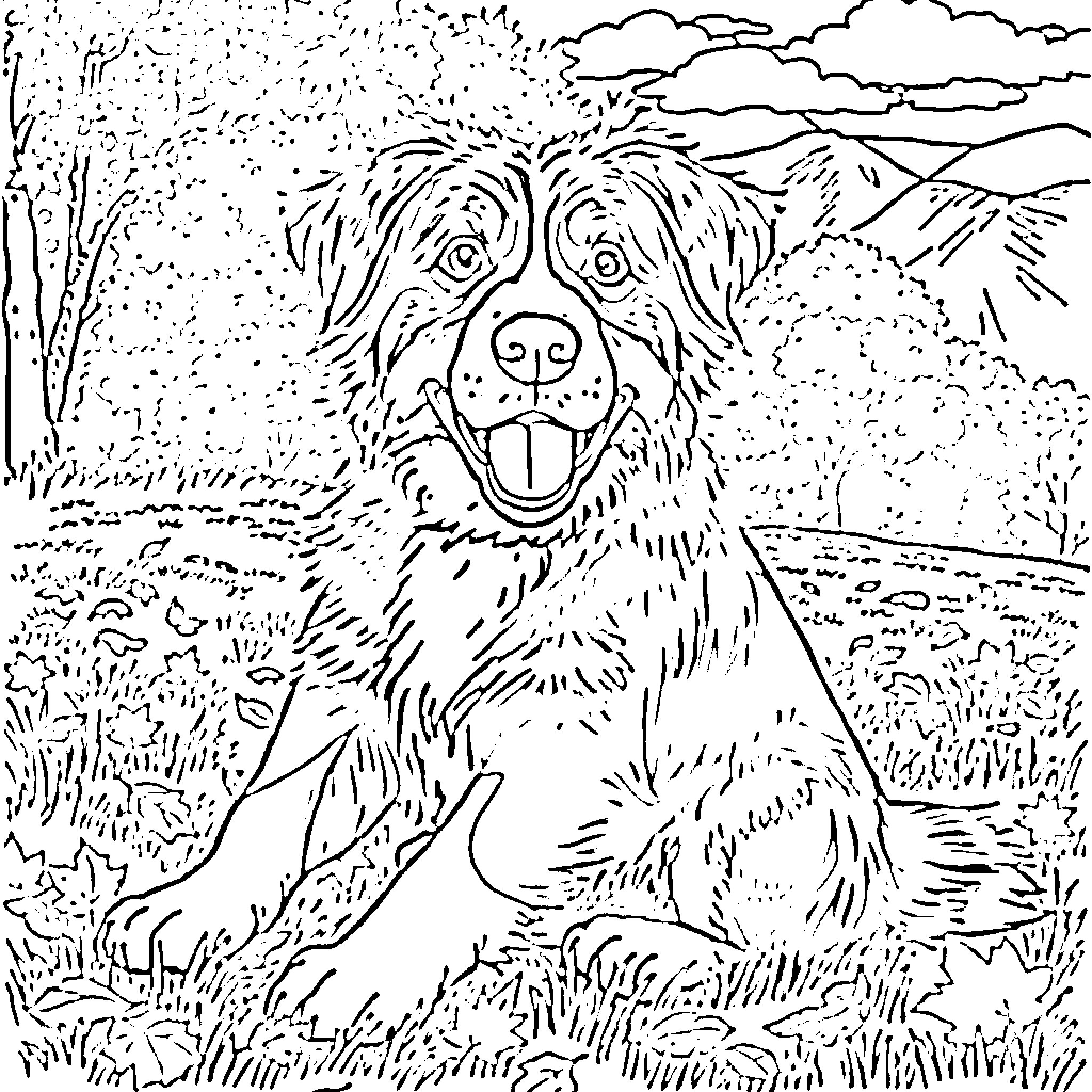 Bernese Mountain Dog enjoying the outdoors Coloring Page (free black-and-white line drawing printable PDF for all, from beginners to advanced learners, including children, teens, adults, and seniors)