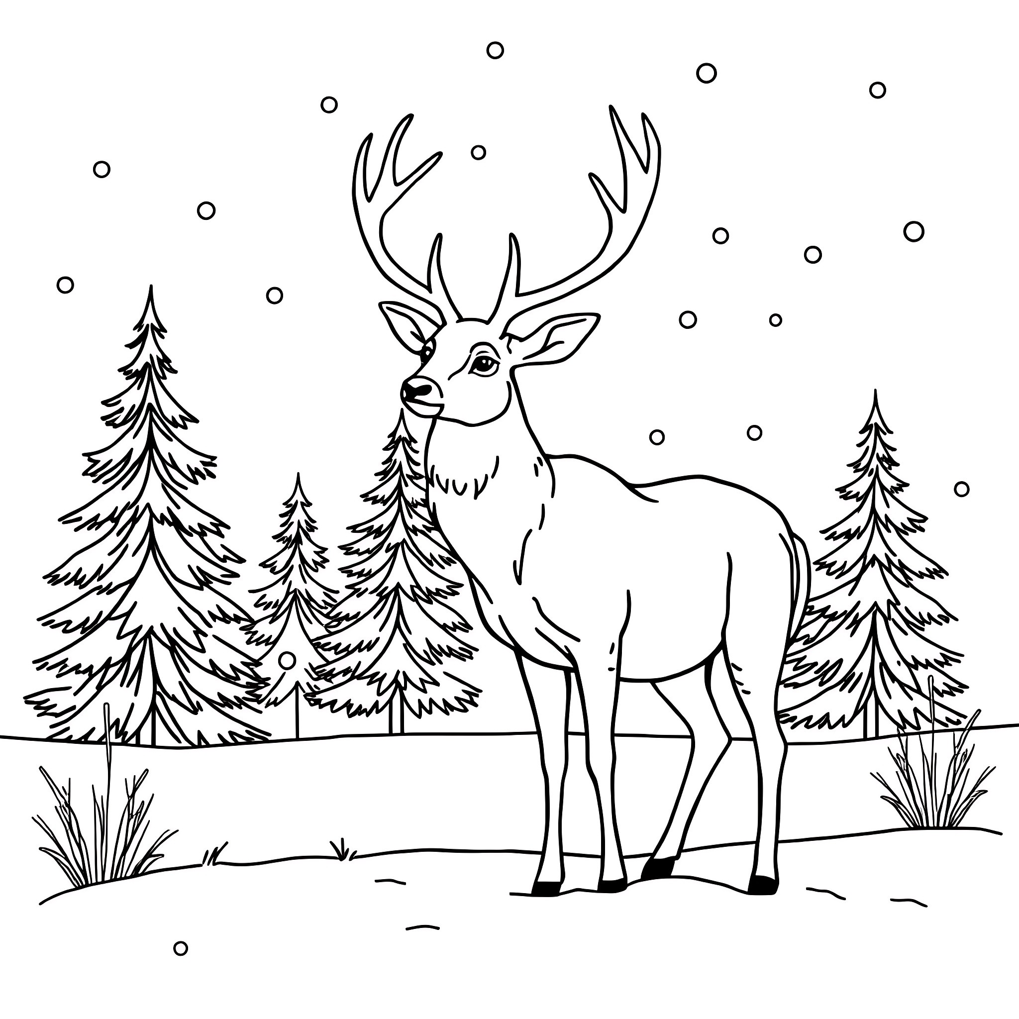 Deer standing in snowy forest Coloring Page (free black-and-white line drawing printable PDF for all, from beginners to advanced learners, including children, teens, adults, and seniors)