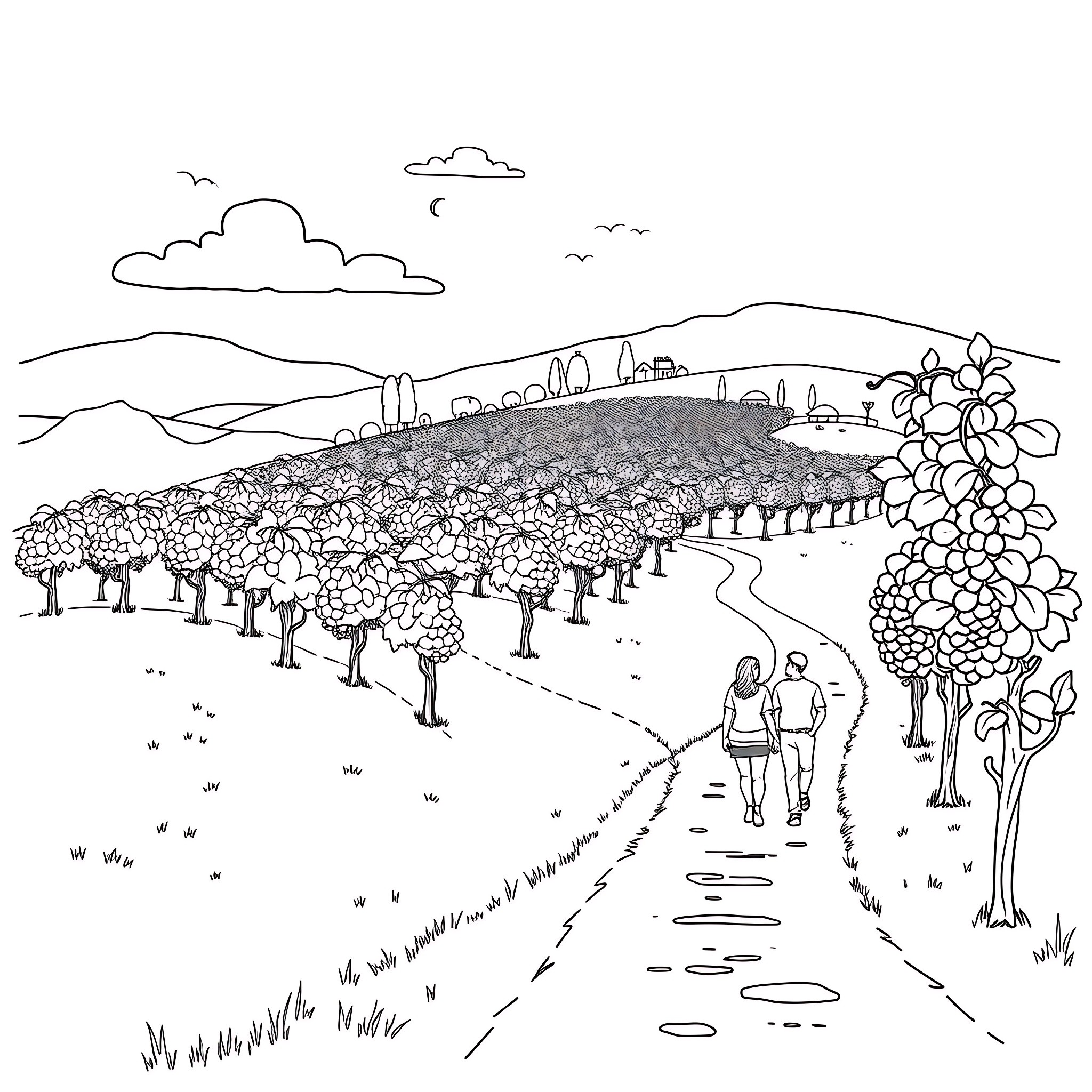 Nature scene with hiking couple in orchard Coloring Page (free black-and-white line drawing printable PDF for all, from beginners to advanced learners, including children, teens, adults, and seniors)