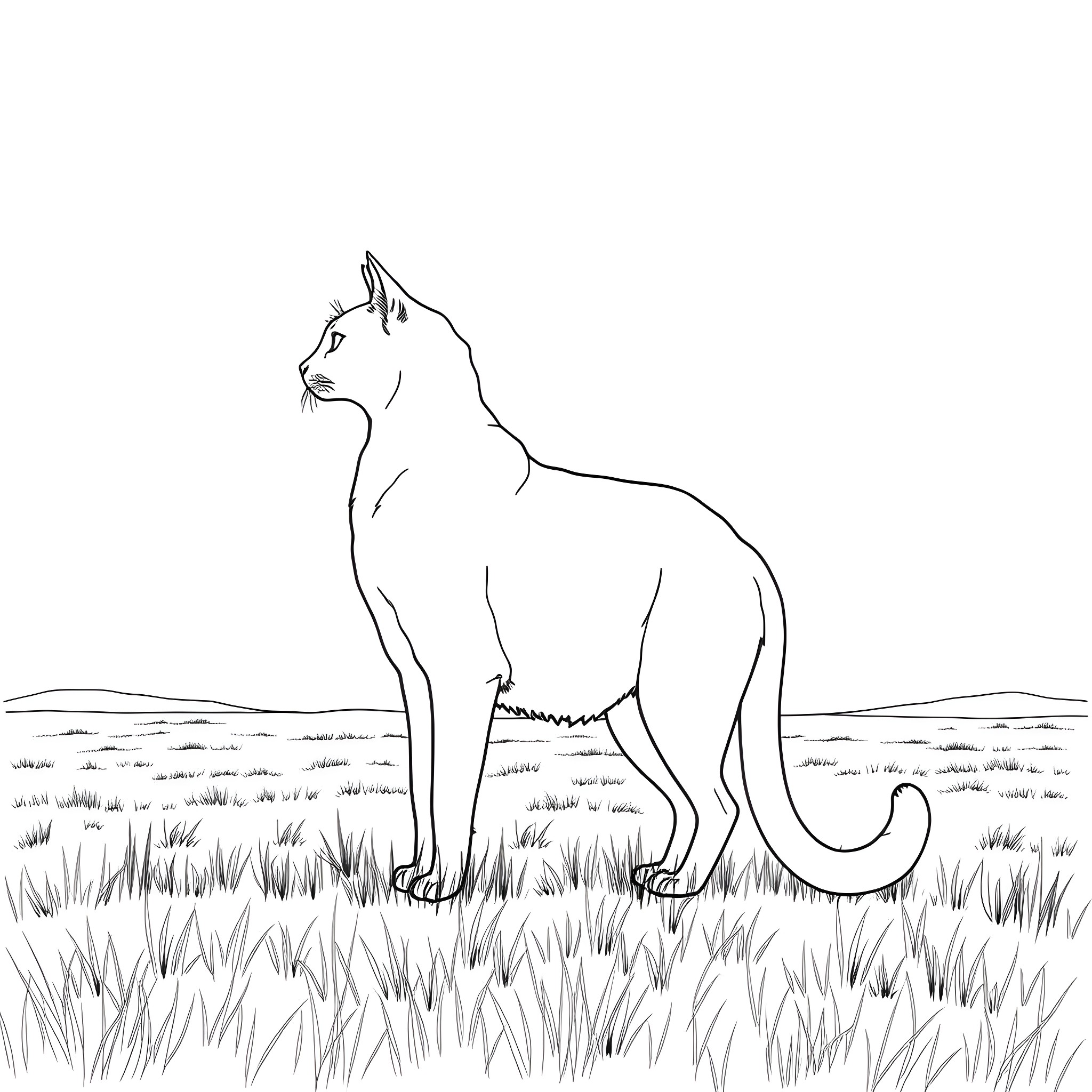 Cat standing in a grassy field Coloring Page (free black-and-white line drawing printable PDF for all, from beginners to advanced learners, including children, teens, adults, and seniors)