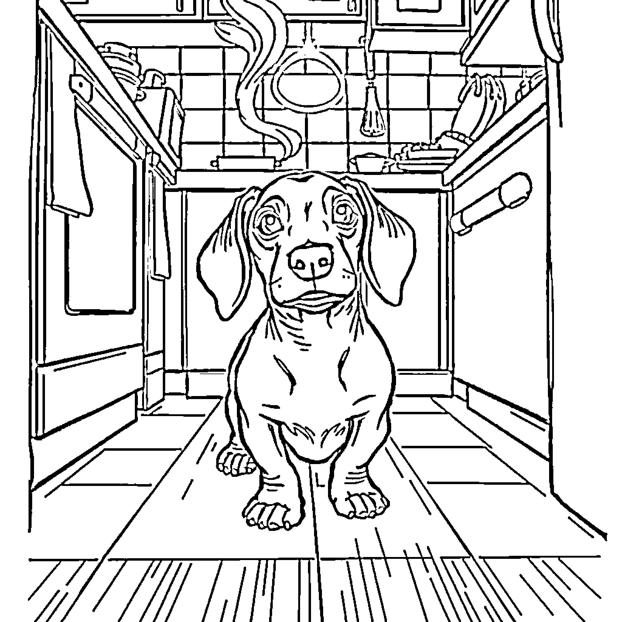 Dachshund exploring a cozy kitchen Coloring Page (free black-and-white line drawing printable PDF for all, from beginners to advanced learners, including children, teens, adults, and seniors)