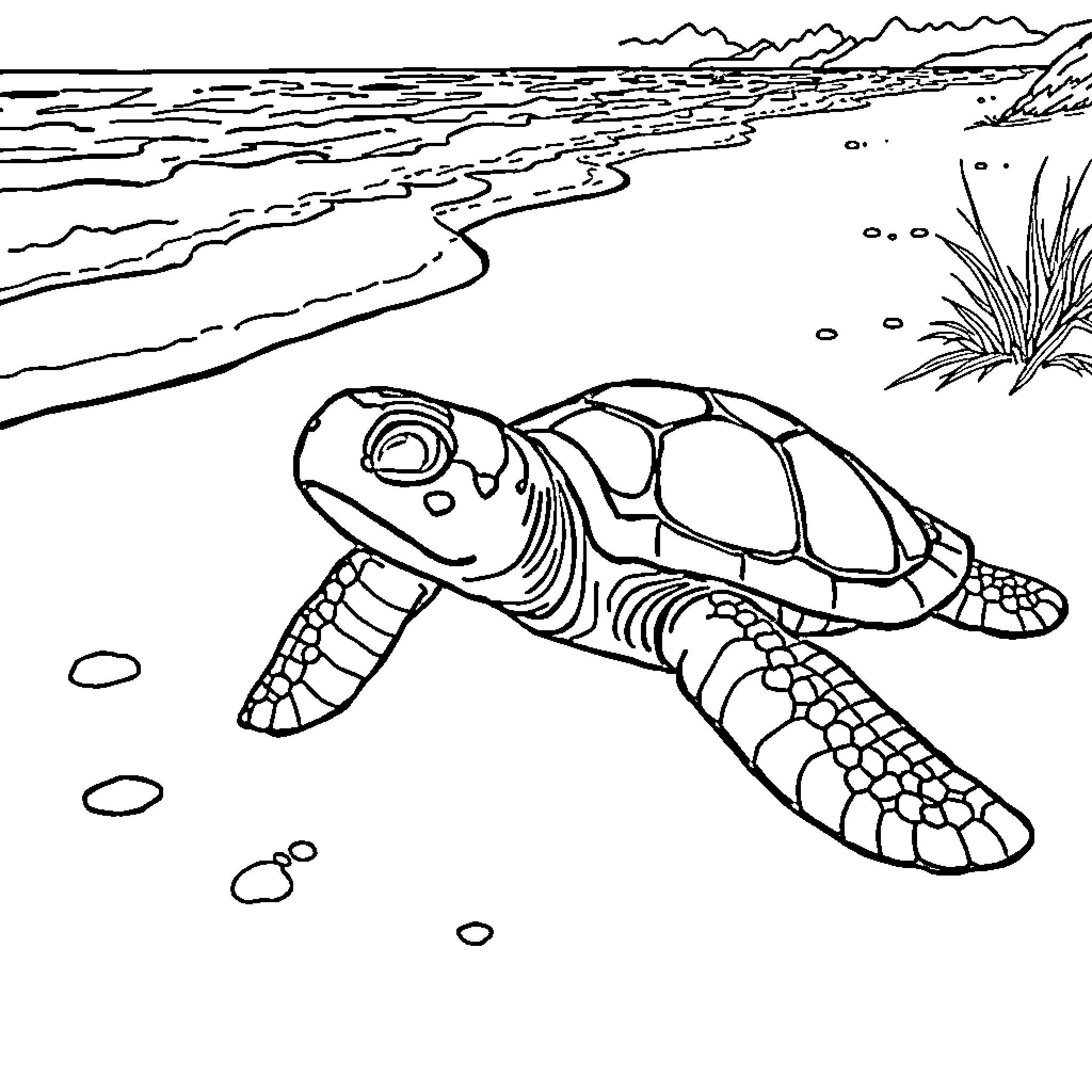 Turtle swimming in the ocean Coloring Page (free black-and-white line drawing printable PDF for all, from beginners to advanced learners, including children, teens, adults, and seniors)