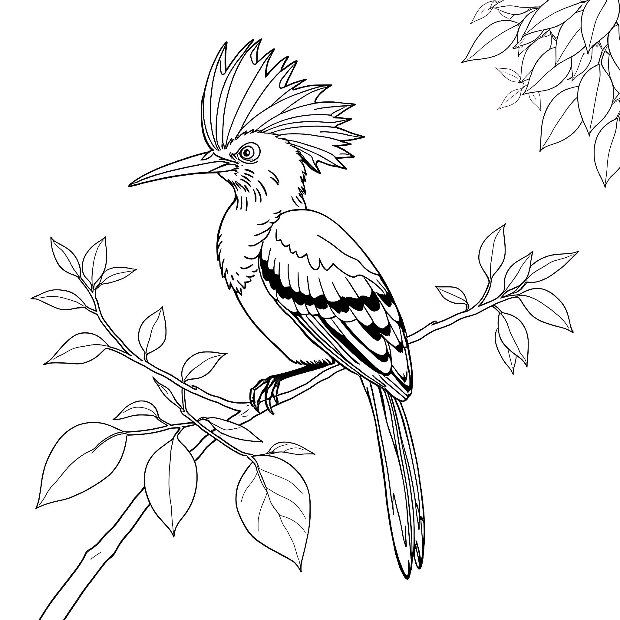 Hoopoe bird perched on a tree branch Coloring Page (free black-and-white line drawing printable PDF for all, from beginners to advanced learners, including children, teens, adults, and seniors)