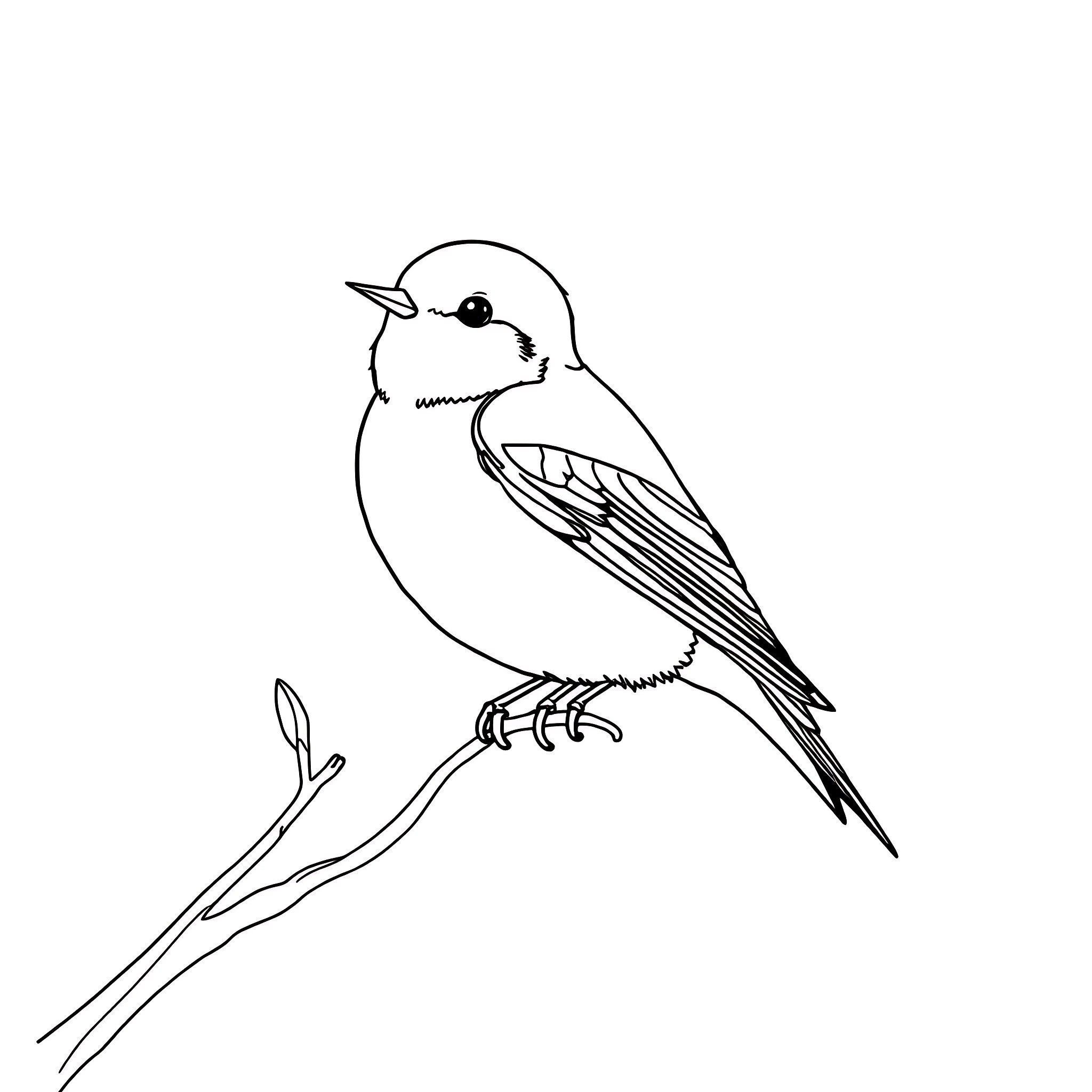 Swallow bird perched on a branch Coloring Page (free black-and-white line drawing printable PDF for all, from beginners to advanced learners, including children, teens, adults, and seniors)