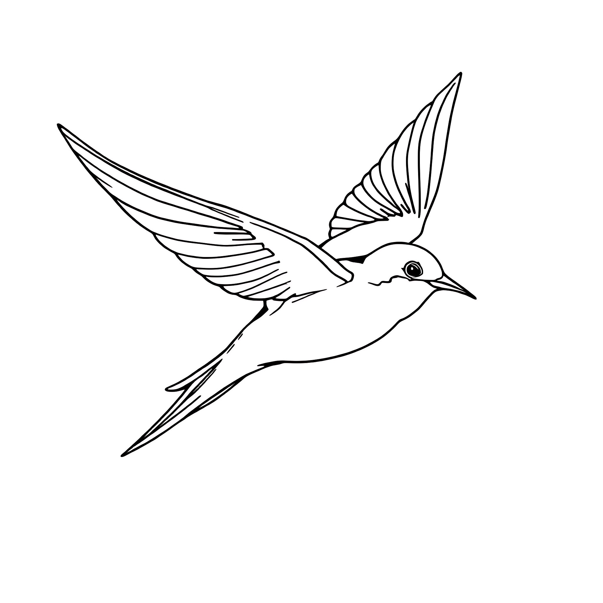 Swallow in flight with outstretched wings Coloring Page (free black-and-white line drawing printable PDF for all, from beginners to advanced learners, including children, teens, adults, and seniors)