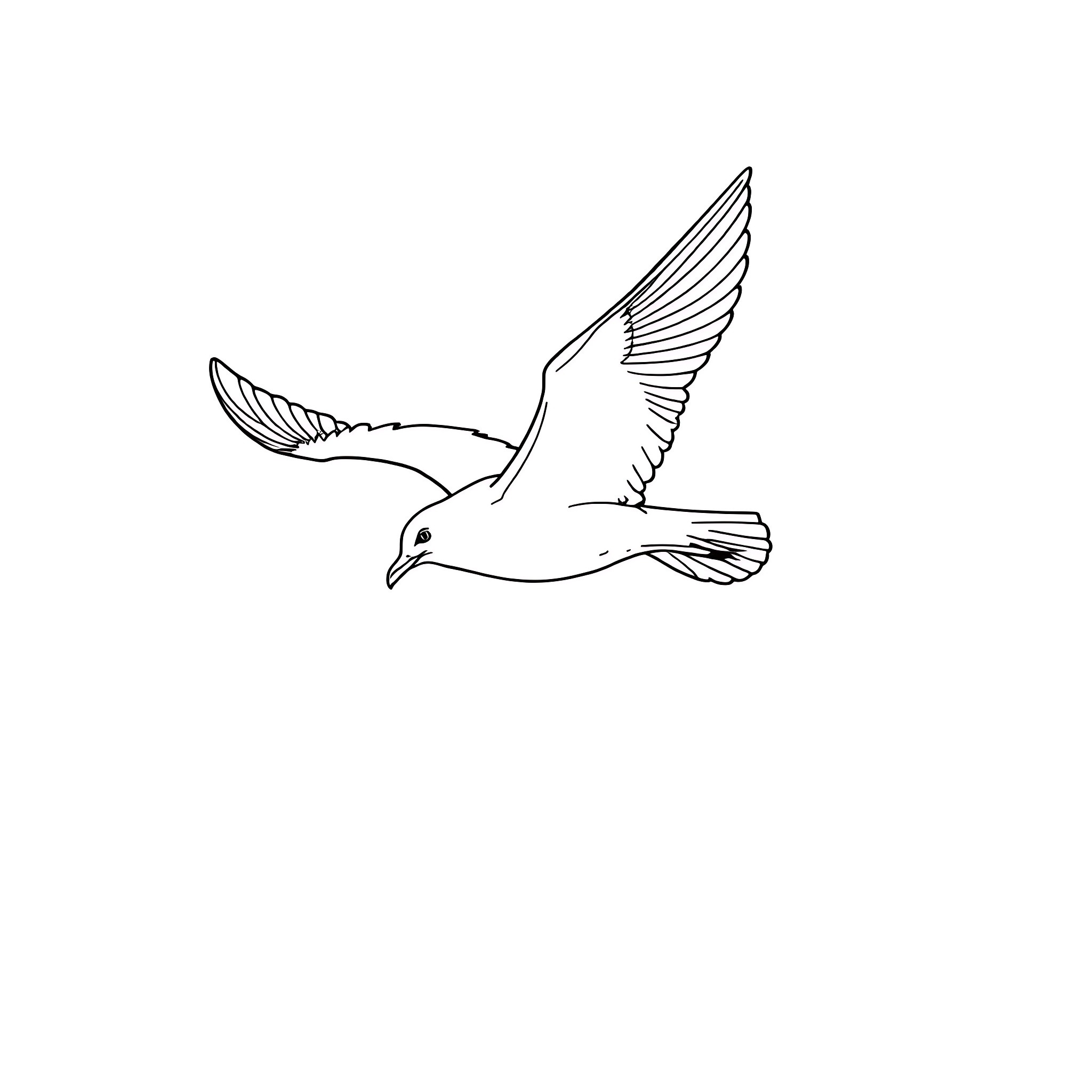 Seagull soaring in the air Coloring Page (free black-and-white line drawing printable PDF for all, from beginners to advanced learners, including children, teens, adults, and seniors)