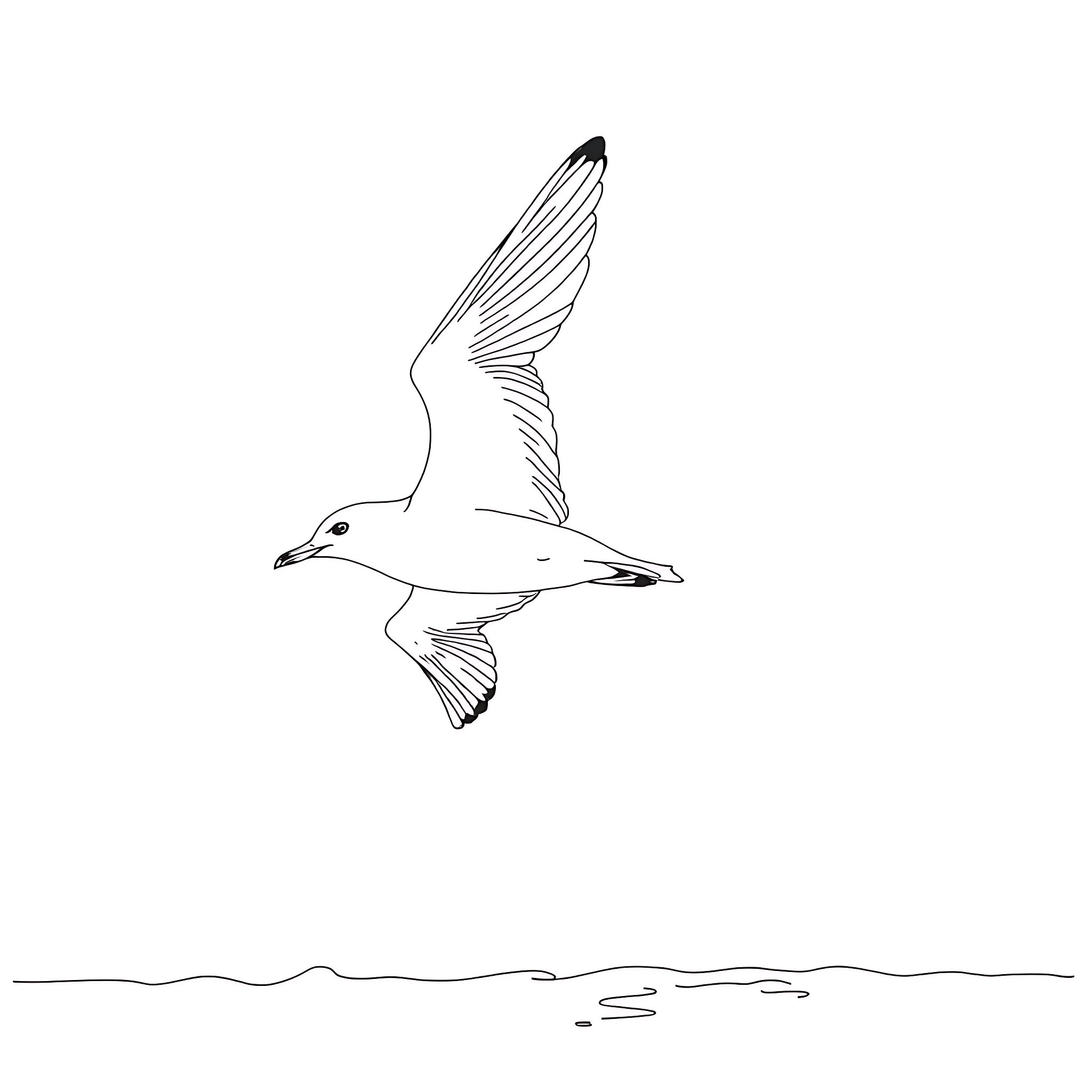 Seagull soaring gracefully through the sky Coloring Page (free black-and-white line drawing printable PDF for all, from beginners to advanced learners, including children, teens, adults, and seniors)