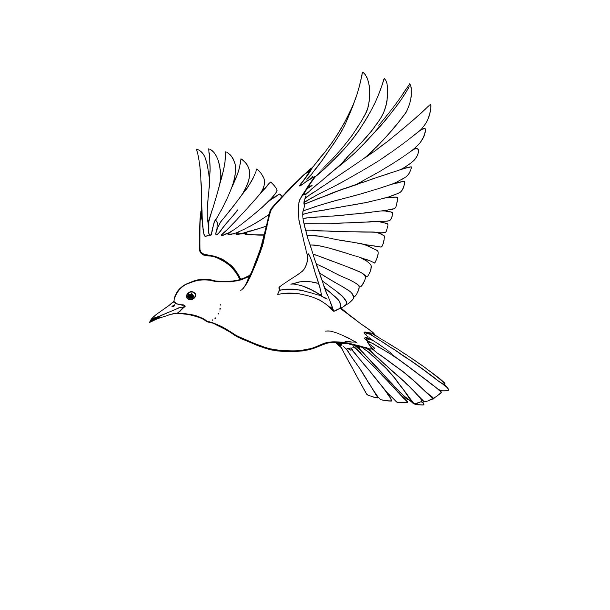 Bird in flight with wings spread Coloring Page (free black-and-white line drawing printable PDF for all, from beginners to advanced learners, including children, teens, adults, and seniors)