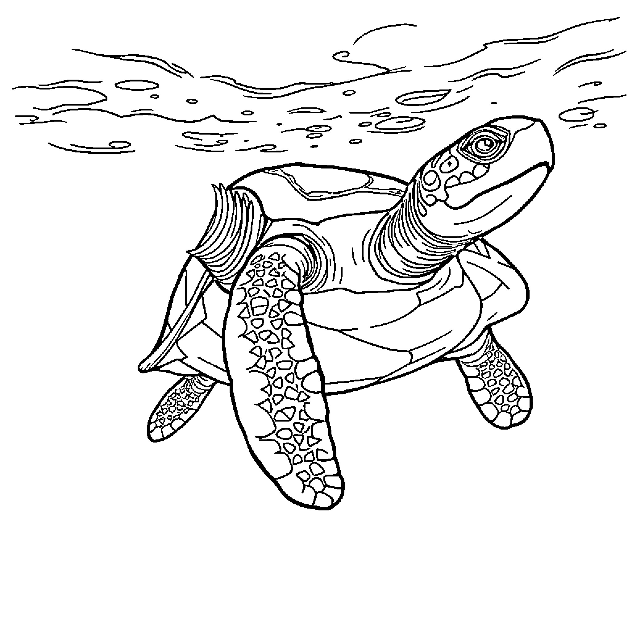 Turtle swimming underwater in the ocean Coloring Page (free black-and-white line drawing printable PDF for all, from beginners to advanced learners, including children, teens, adults, and seniors)