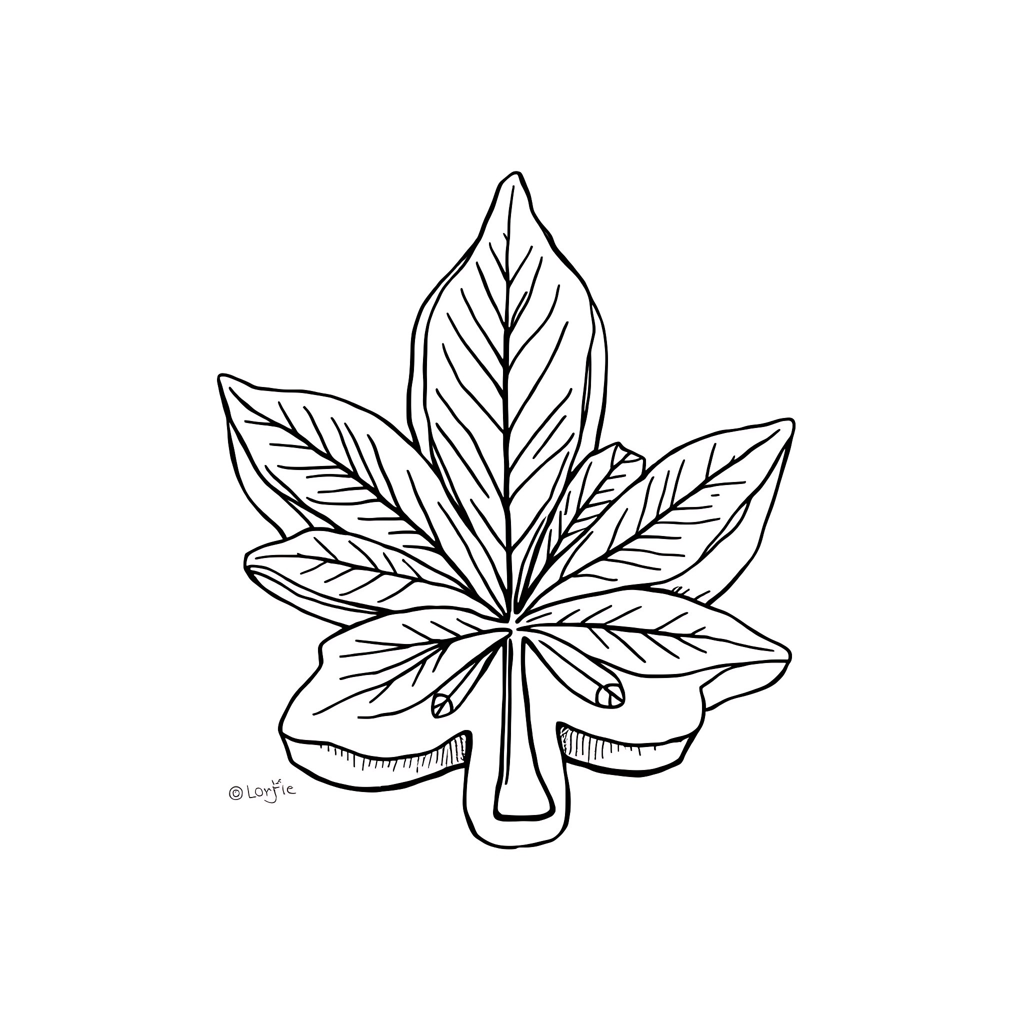 Cookie leaf with detailed outline Coloring Page (free black-and-white line drawing printable PDF for all, from beginners to advanced learners, including children, teens, adults, and seniors)