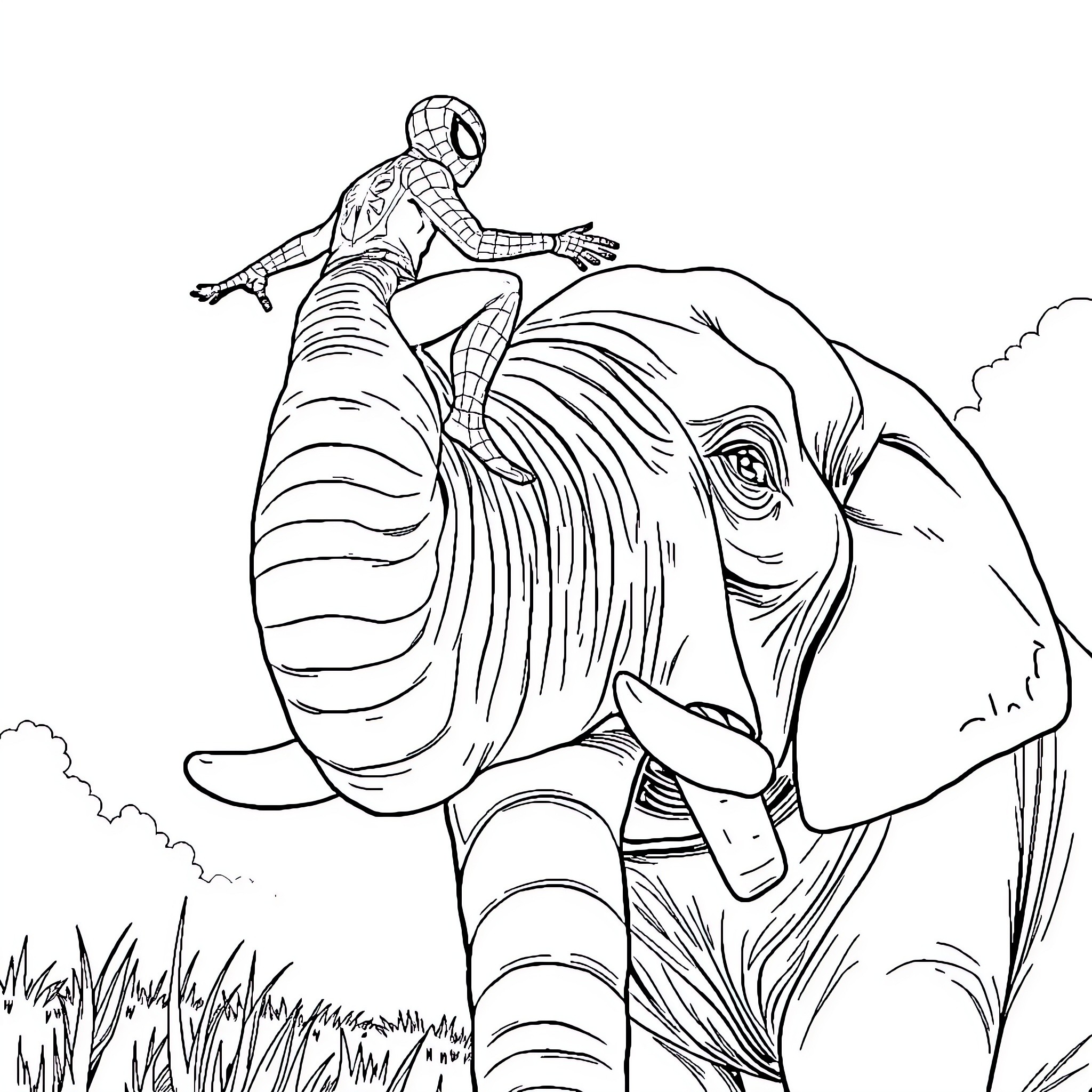 Spiderman swings over a majestic elephant Coloring Page (free black-and-white line drawing printable PDF for all, from beginners to advanced learners, including children, teens, adults, and seniors)