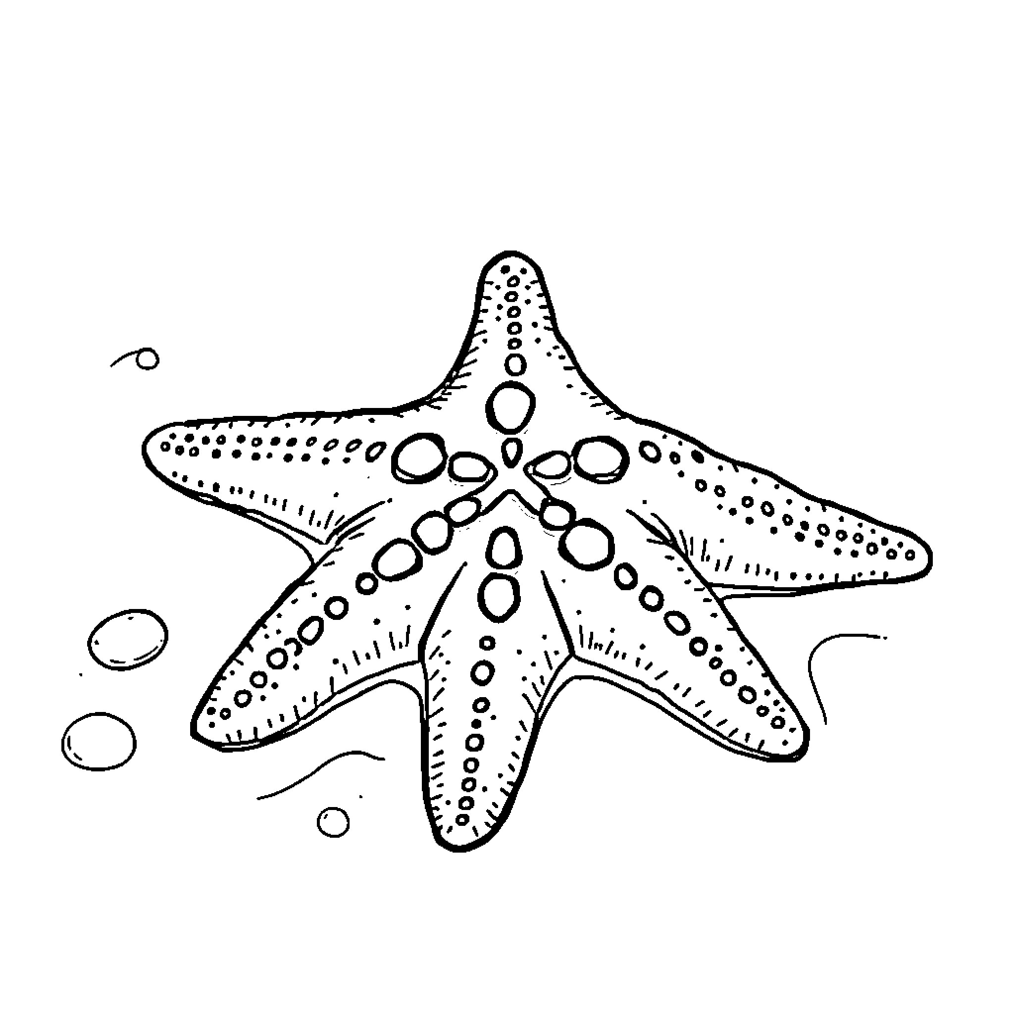 Starfish with intricate patterns Coloring Page (free black-and-white line drawing printable PDF for all, from beginners to advanced learners, including children, teens, adults, and seniors)