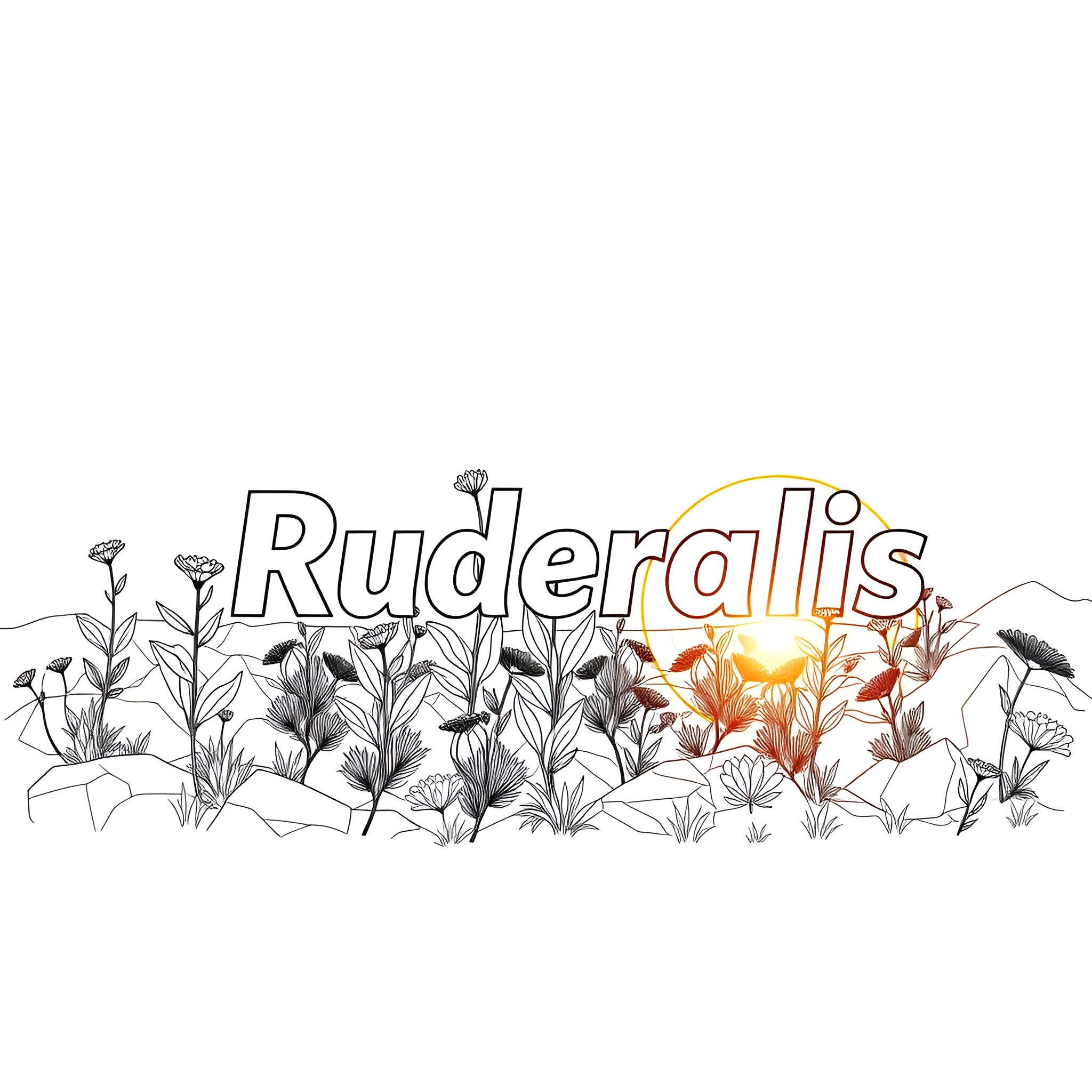 Ruderallis field with wildflowers and sunlight Coloring Page (free black-and-white line drawing printable PDF for all, from beginners to advanced learners, including children, teens, adults, and seniors)