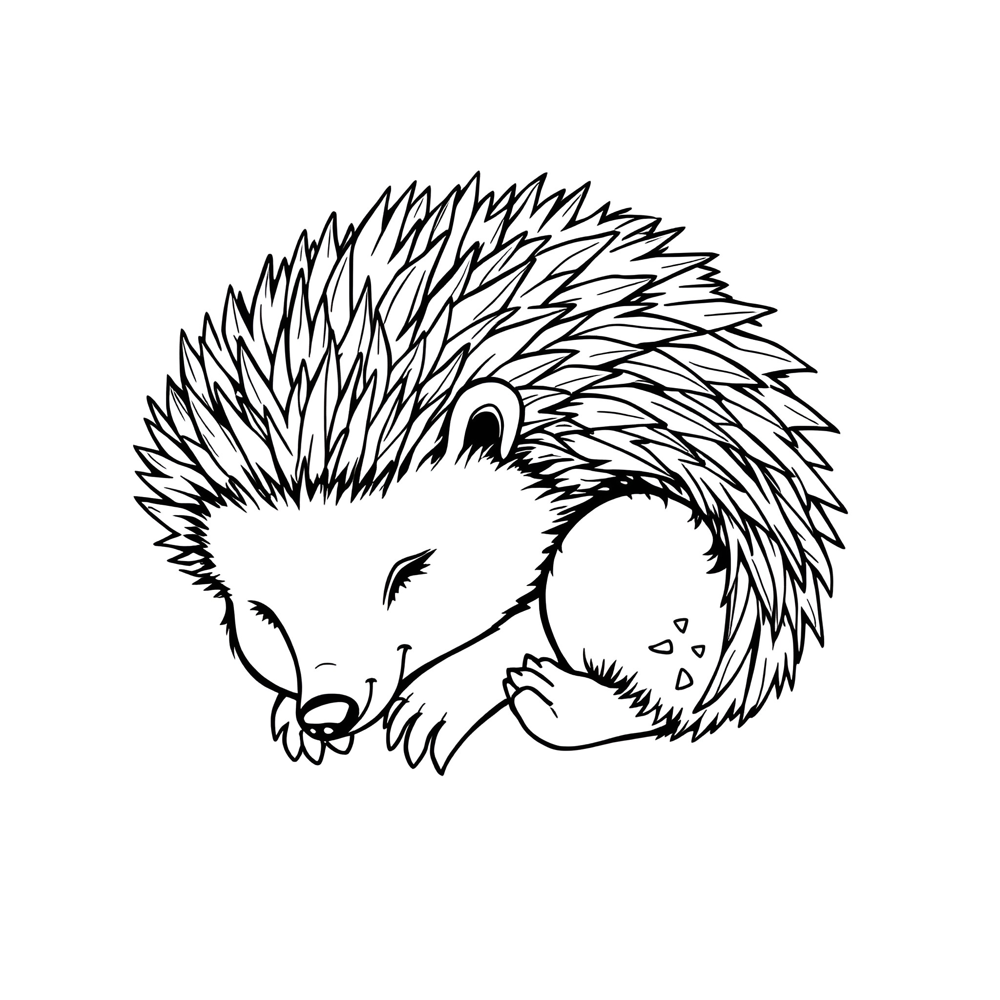 Hedgehog curled up and resting peacefully Coloring Page (free black-and-white line drawing printable PDF for all, from beginners to advanced learners, including children, teens, adults, and seniors)
