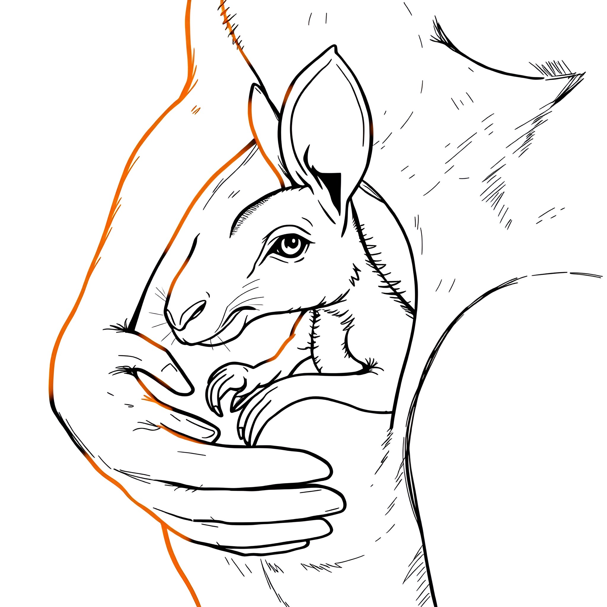 Baby Kangaroo nestled in caring hands Coloring Page (free black-and-white line drawing printable PDF for all, from beginners to advanced learners, including children, teens, adults, and seniors)