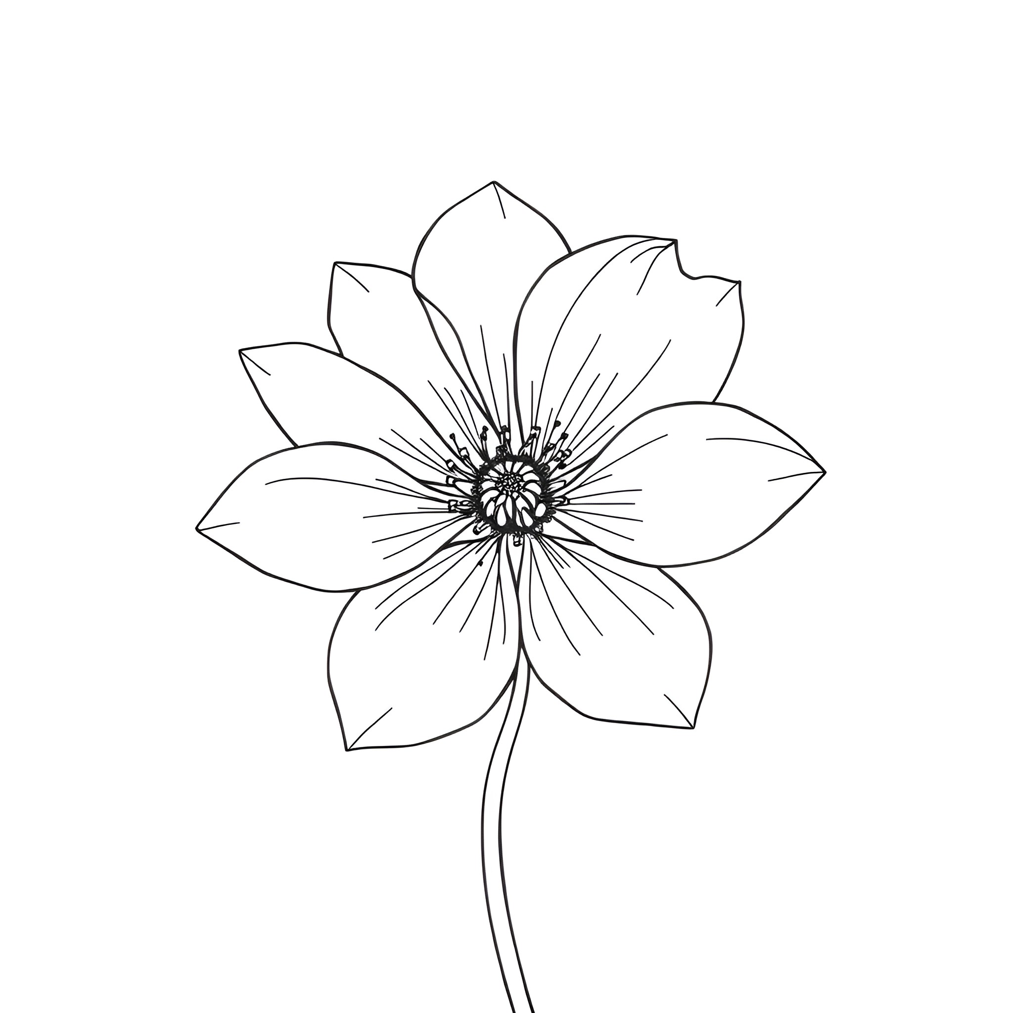 Flower with Detailed Petals Coloring Page (free black-and-white line drawing printable PDF for all, from beginners to advanced learners, including children, teens, adults, and seniors)