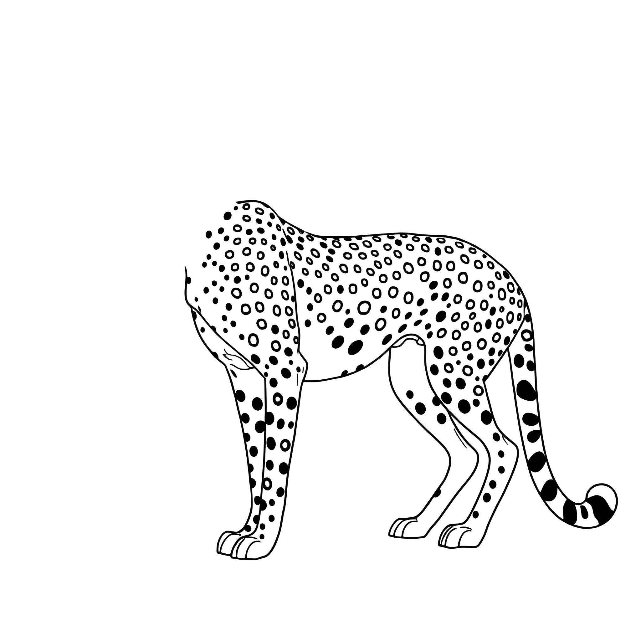 Cheetah standing alert in the wild Coloring Page (free black-and-white line drawing printable PDF for all, from beginners to advanced learners, including children, teens, adults, and seniors)