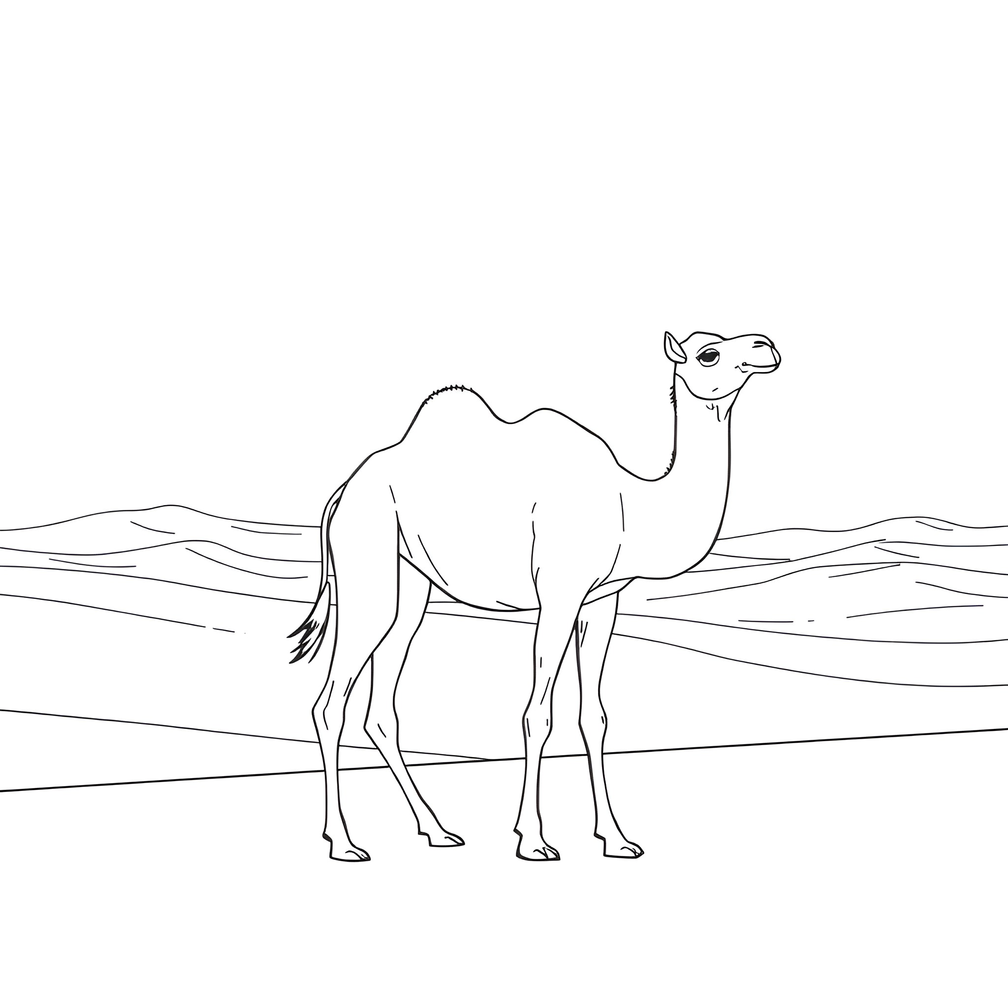 Camel standing in the desert landscape Coloring Page (free black-and-white line drawing printable PDF for all, from beginners to advanced learners, including children, teens, adults, and seniors)
