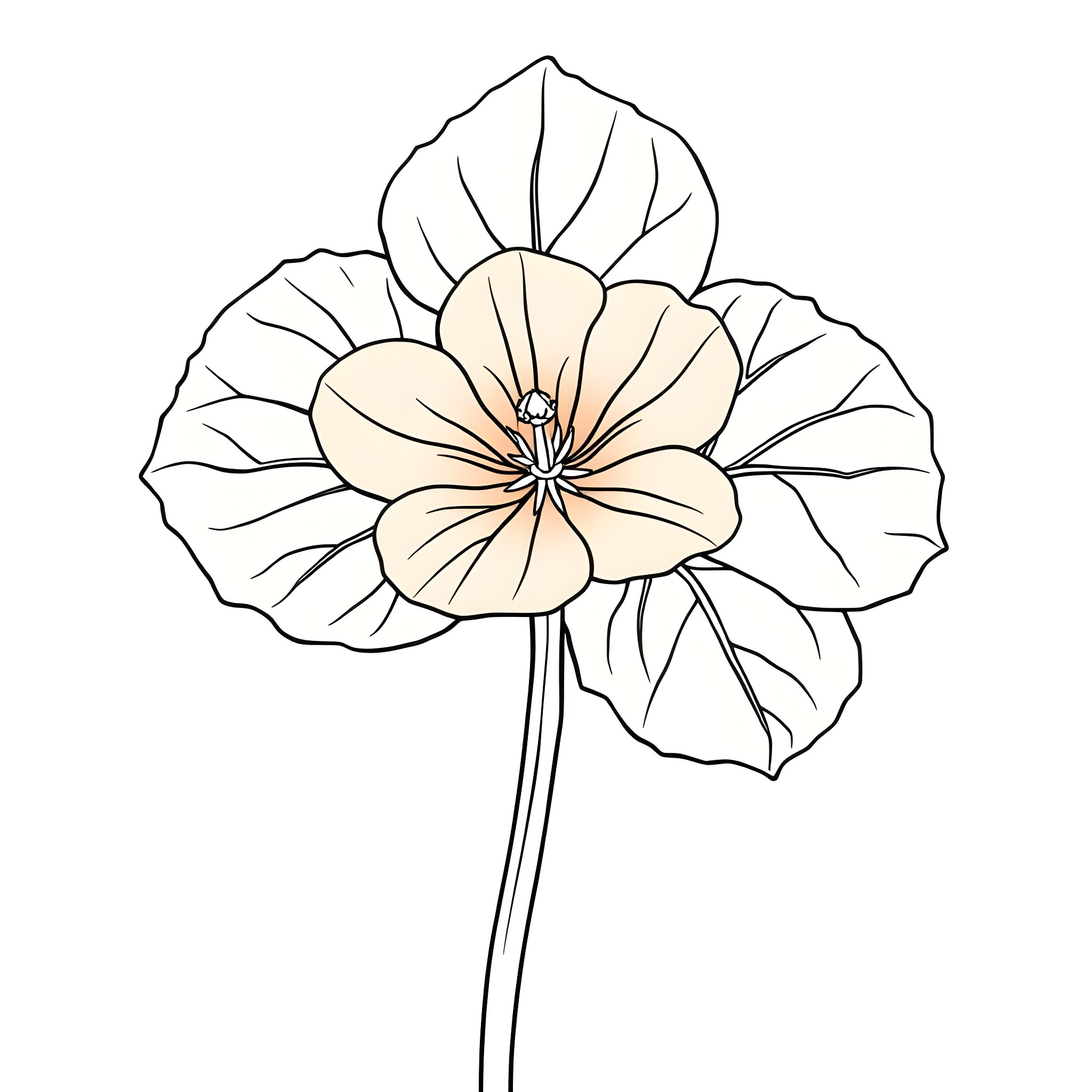 Common Nasturtium flower in simple floral outline Coloring Page (free black-and-white line drawing printable PDF for all, from beginners to advanced learners, including children, teens, adults, and seniors)