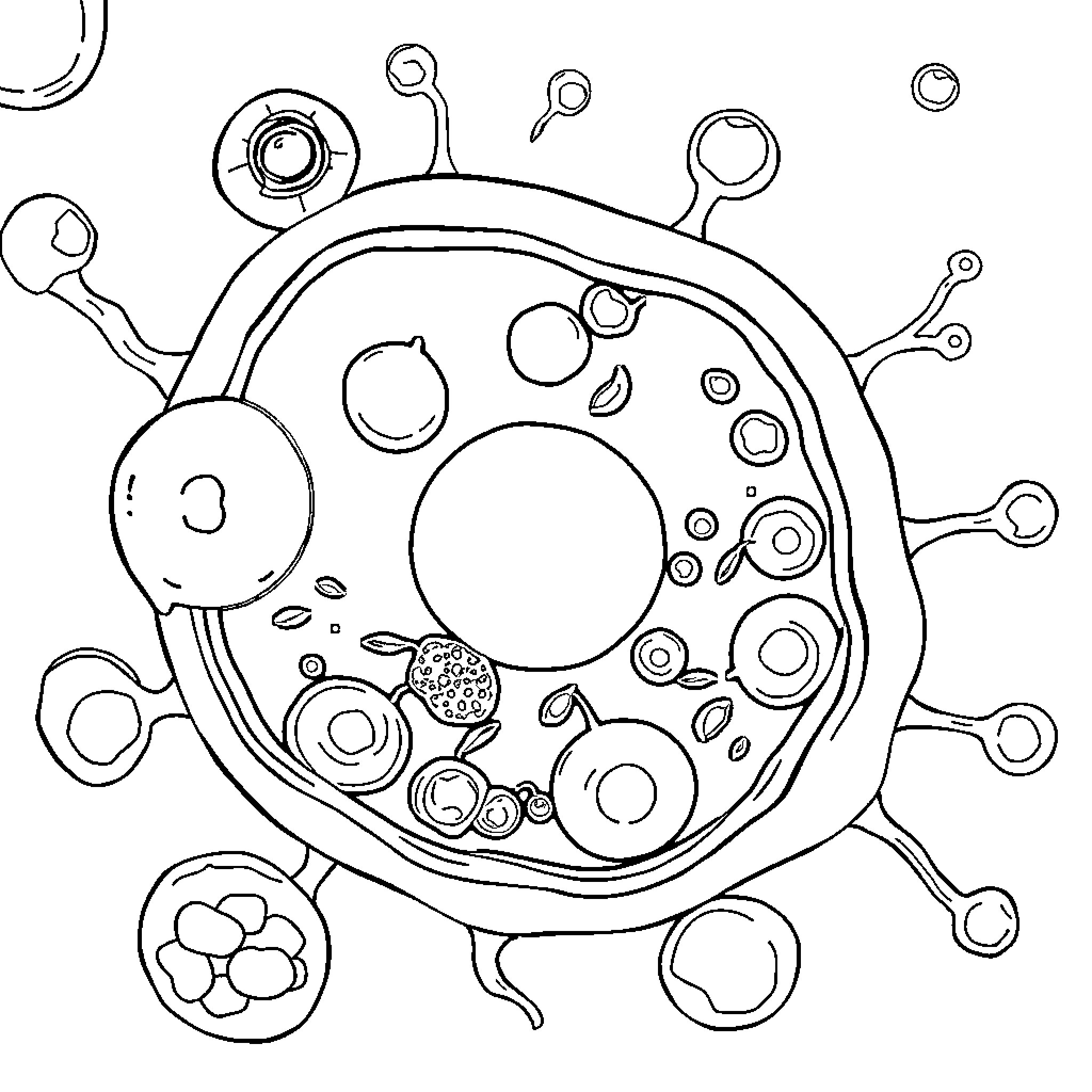 Cell with Intricate Structures and Elements Coloring Page (free black-and-white line drawing printable PDF for all, from beginners to advanced learners, including children, teens, adults, and seniors)