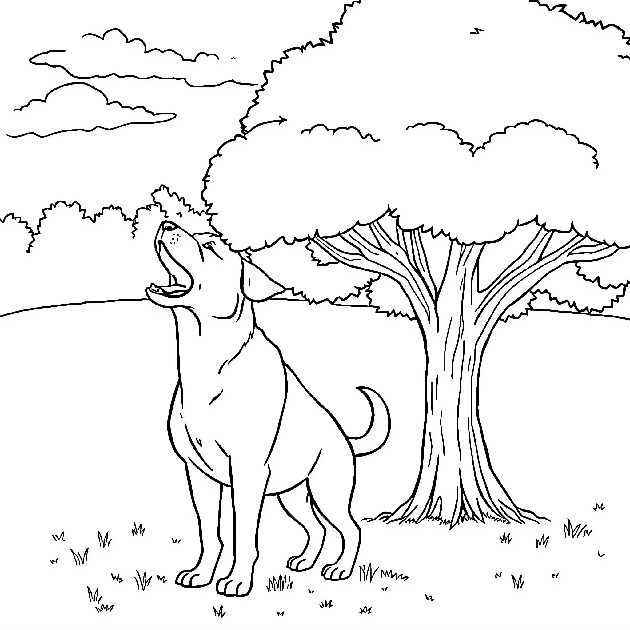 Dog howling at a tree in the forest Coloring Page (free black-and-white line drawing printable PDF for all, from beginners to advanced learners, including children, teens, adults, and seniors)