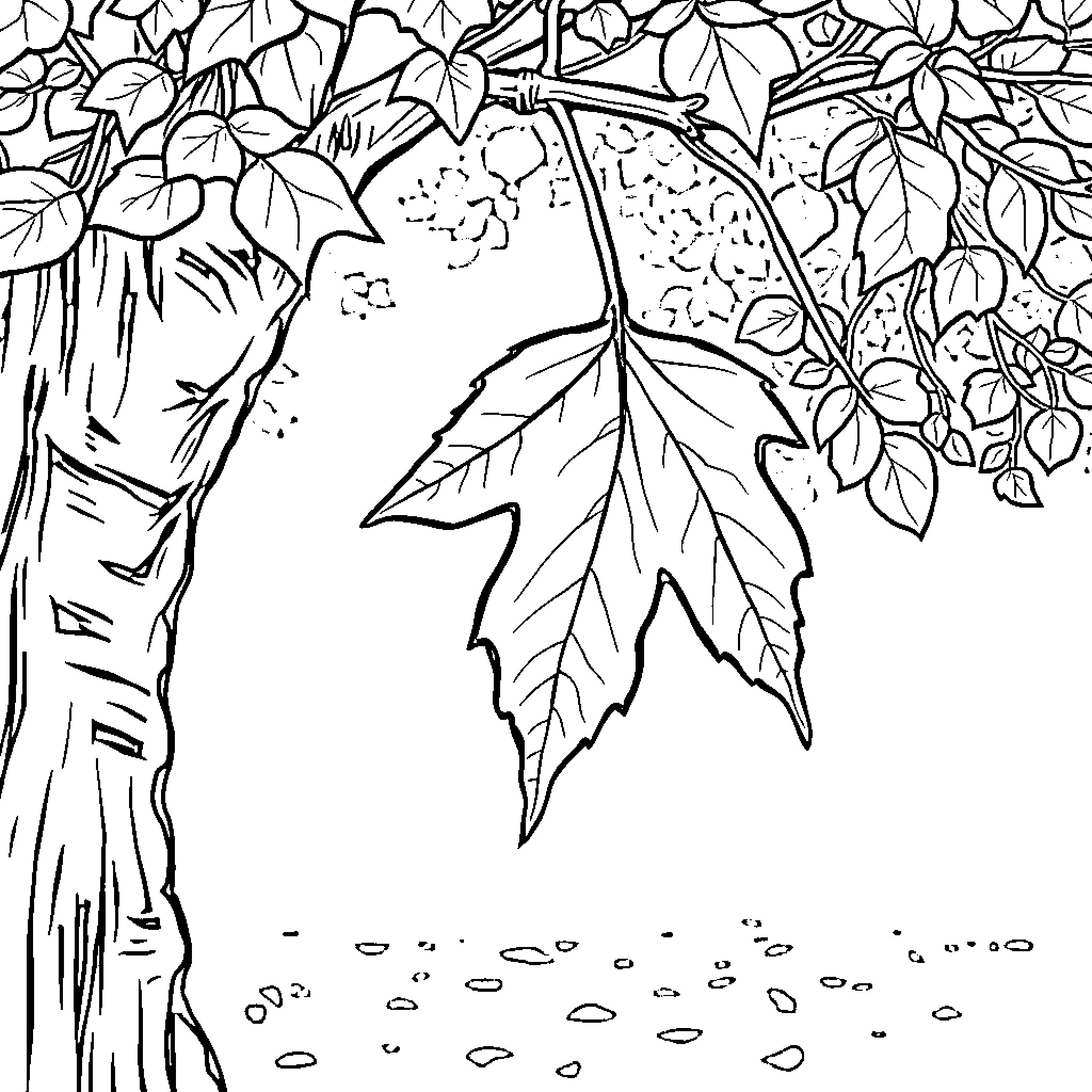 Leaf Falling Amidst Nature's Embrace Coloring Page (free black-and-white line drawing printable PDF for all, from beginners to advanced learners, including children, teens, adults, and seniors)