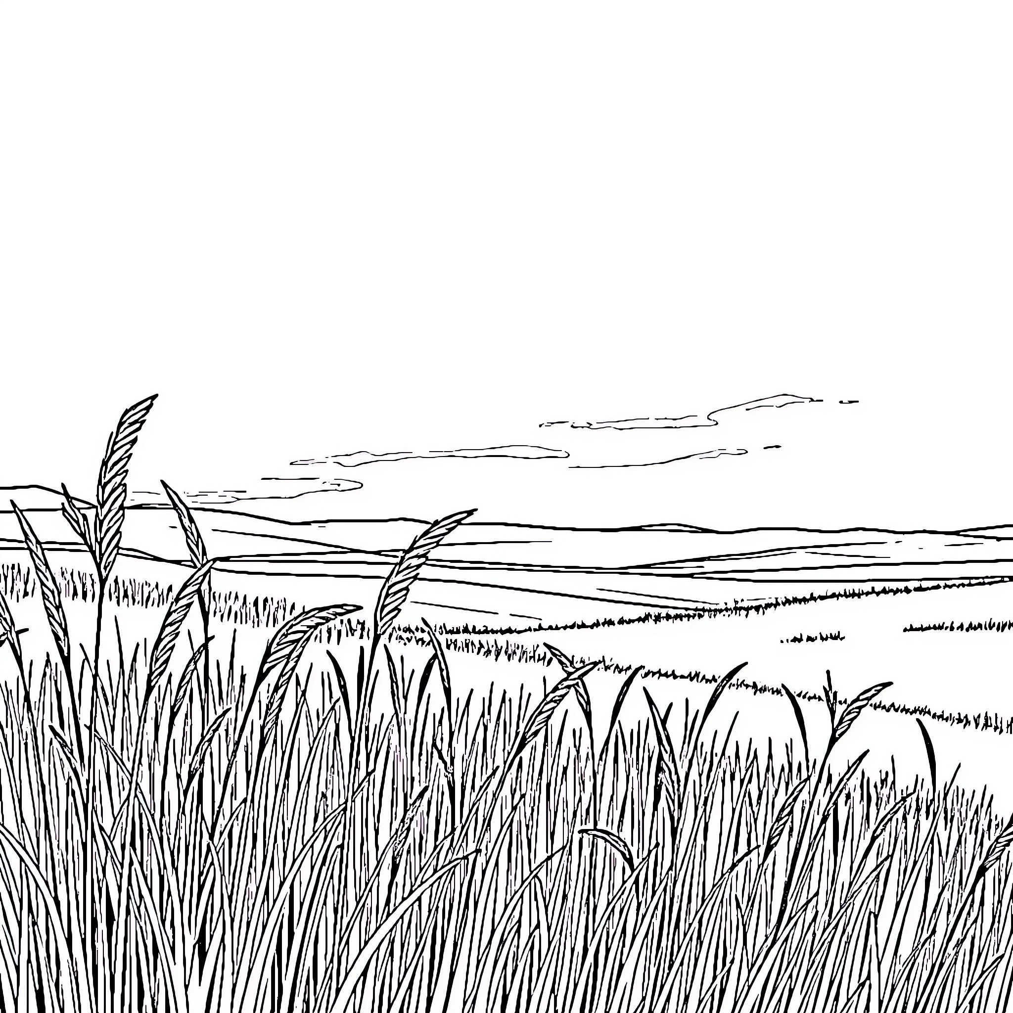 Plain Landscape with Tall Grass and Distant Horizon Coloring Page (free black-and-white line drawing printable PDF for all, from beginners to advanced learners, including children, teens, adults, and seniors)
