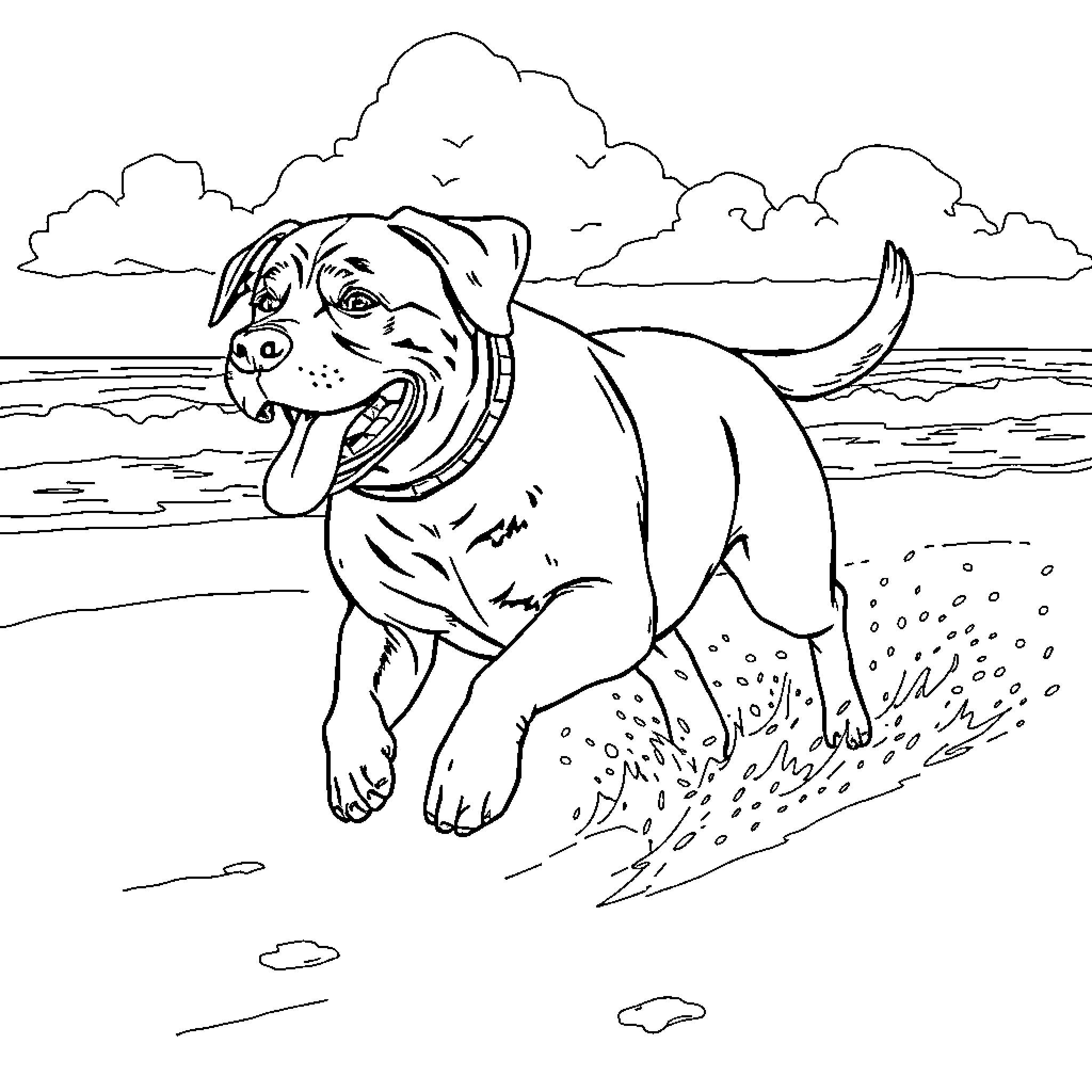 Rottweiler playing joyfully on the beach Coloring Page (free black-and-white line drawing printable PDF for all, from beginners to advanced learners, including children, teens, adults, and seniors)