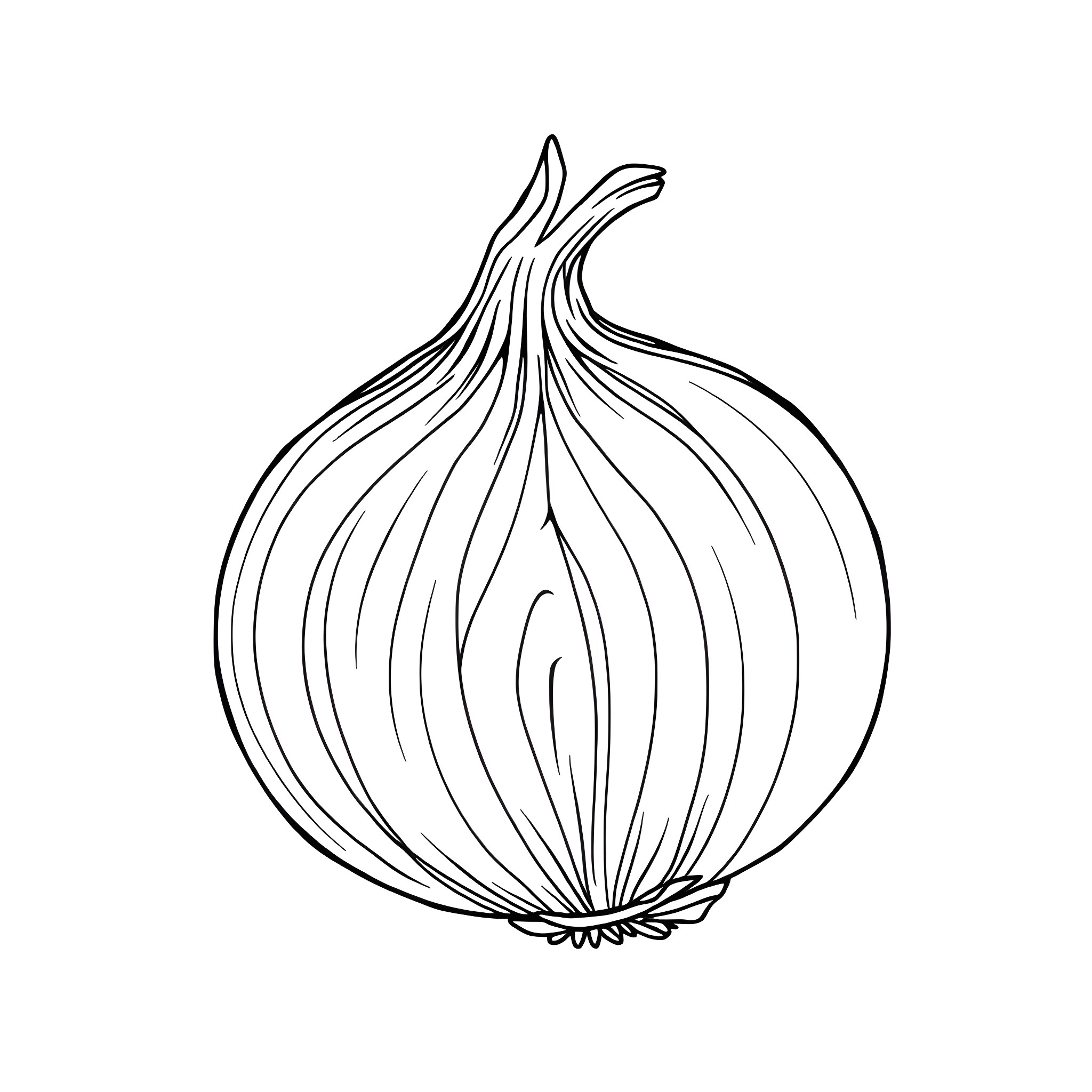 Onion with Striking Layers and Patterns Coloring Page (free black-and-white line drawing printable PDF for all, from beginners to advanced learners, including children, teens, adults, and seniors)